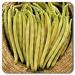 Beans (Bush) - Gold Rush Yellow Wax