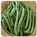 Beans (Pole) - Kentucky Wonder