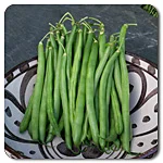 Beans (Bush) - Bronco