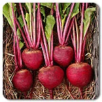 Beets - Red Ace
