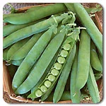 Peas - Green Arrow Shelling