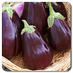 Eggplant - Black Beauty