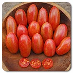 Tomatoes (Saladette) - Pink Tiger