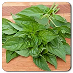 Basil - Lemon