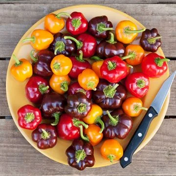 Peppers (Sweet) - Bangles Blend