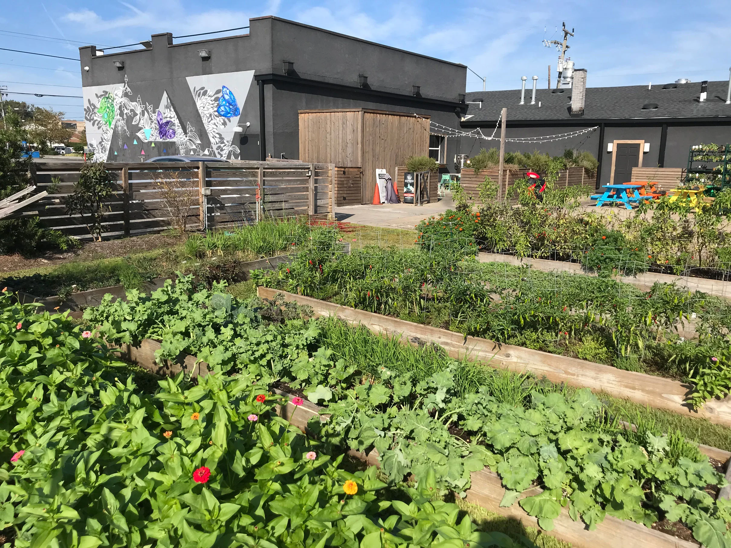 Veg Out Gardens