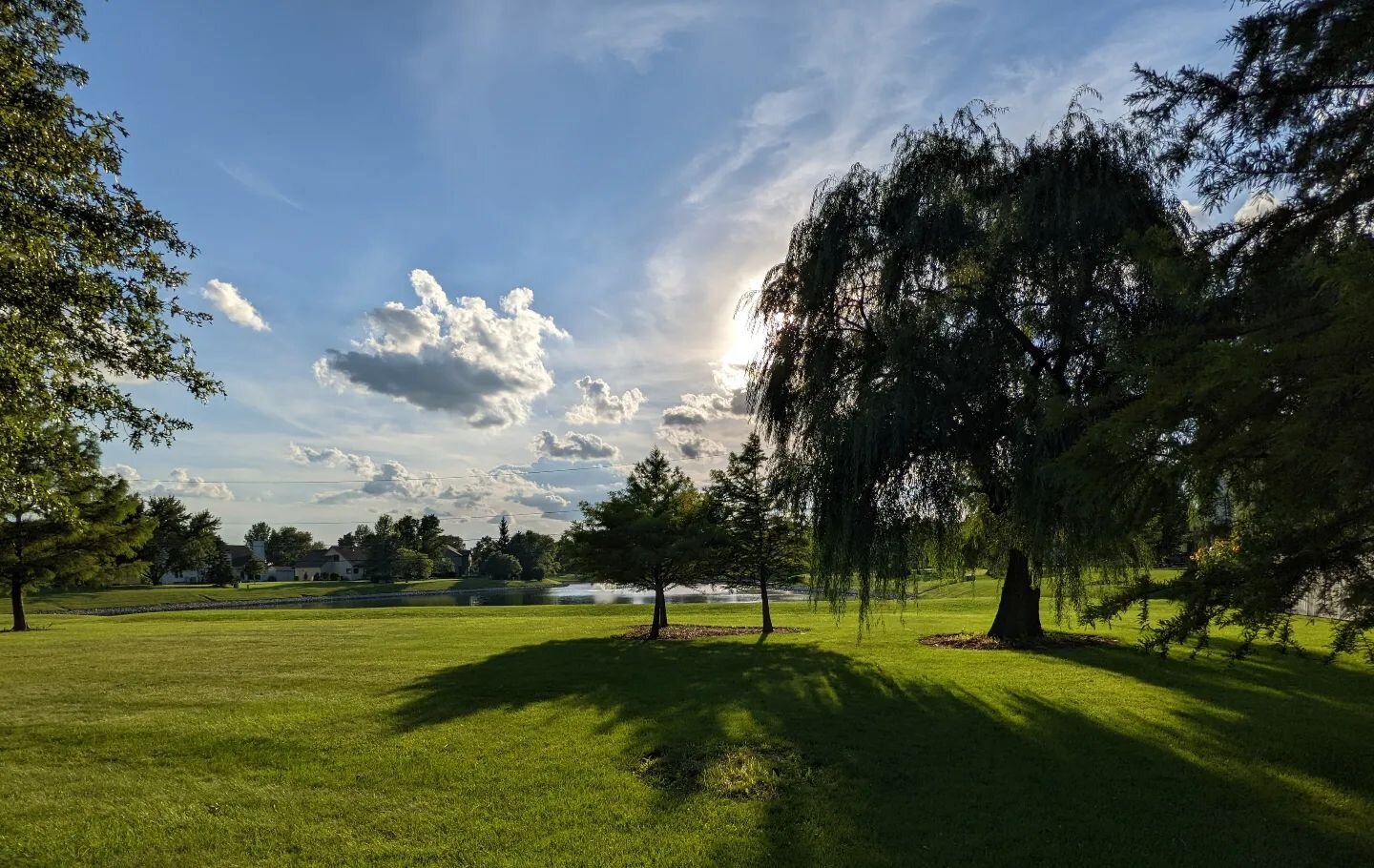 When you stop dreaming of traveling and realize how beautiful your surroundings are right now... (take a photo).

10921 #backyardoasis #willowtree #treecollection #treeshadow