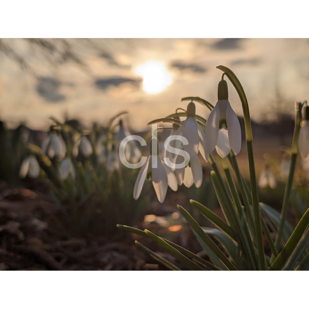 image_original_8a0496f6a6397581367536557e603826.png