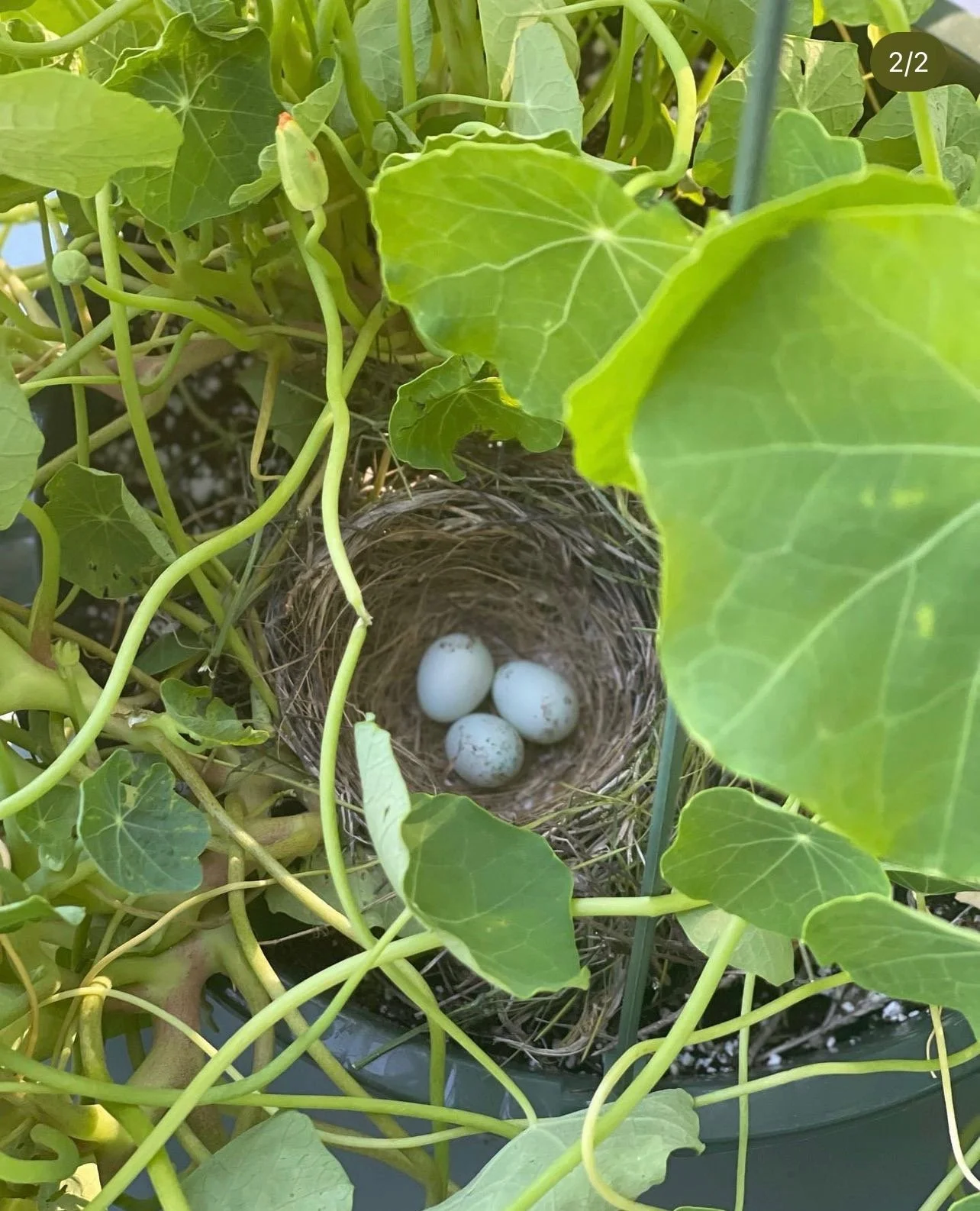 Screenshot 2022-11-30 at 5.09.56 PM.jpeg