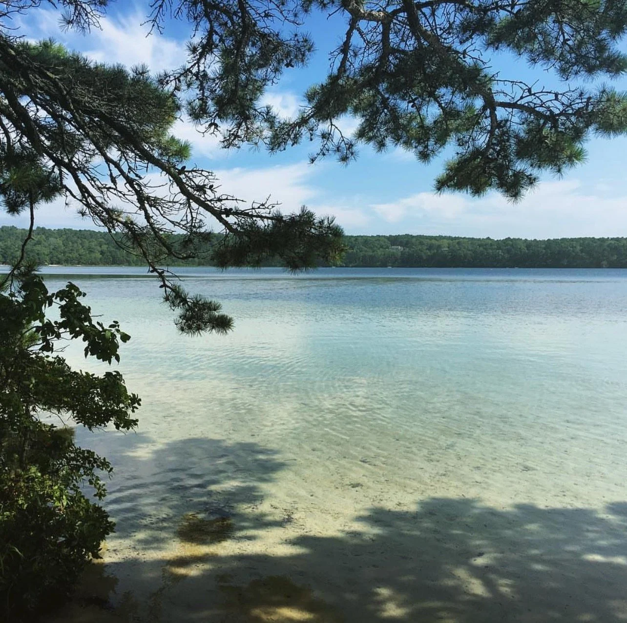 Screenshot 2022-11-30 at 2.55.58 PM.jpeg