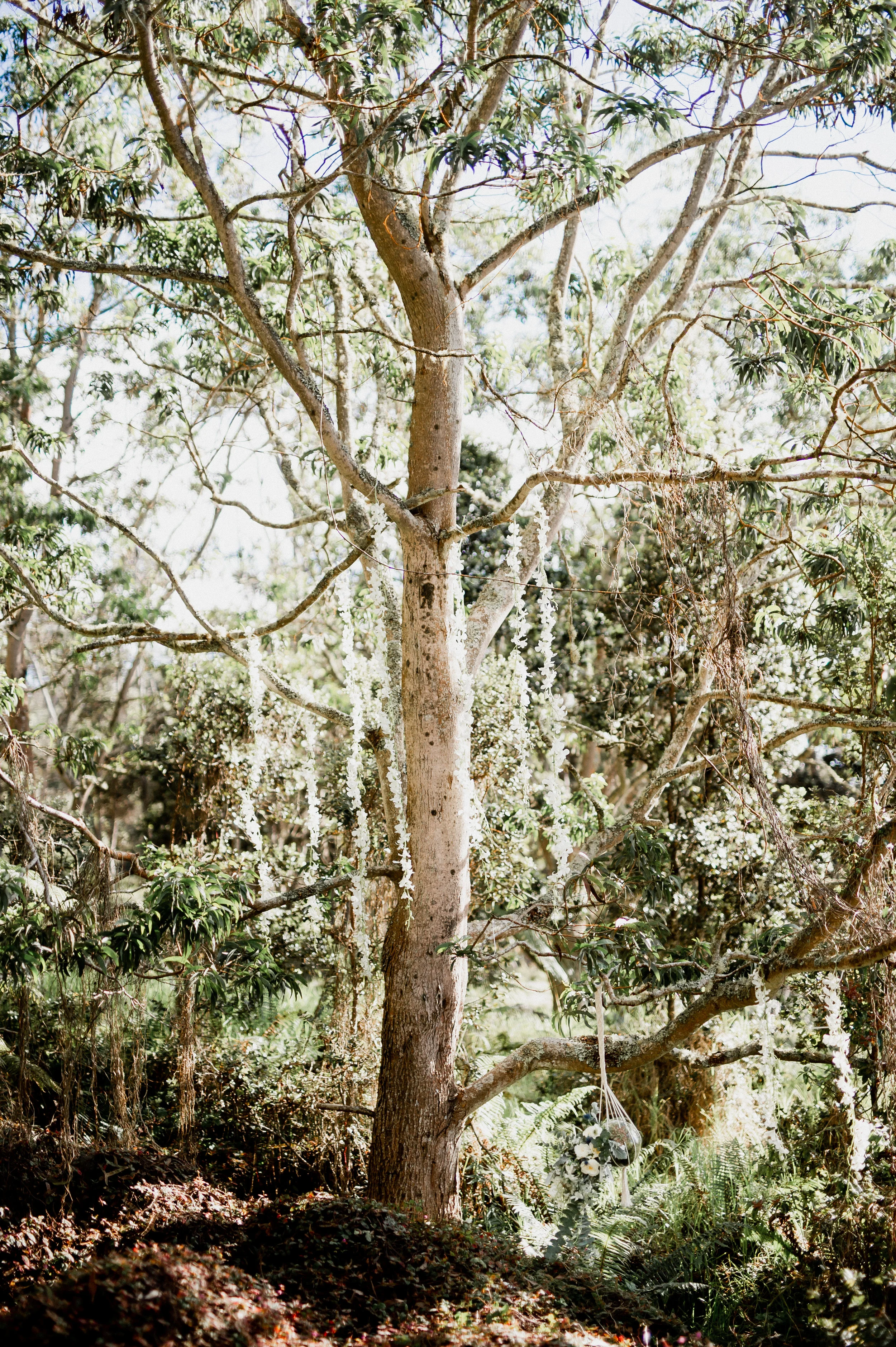 _0004048.jpg