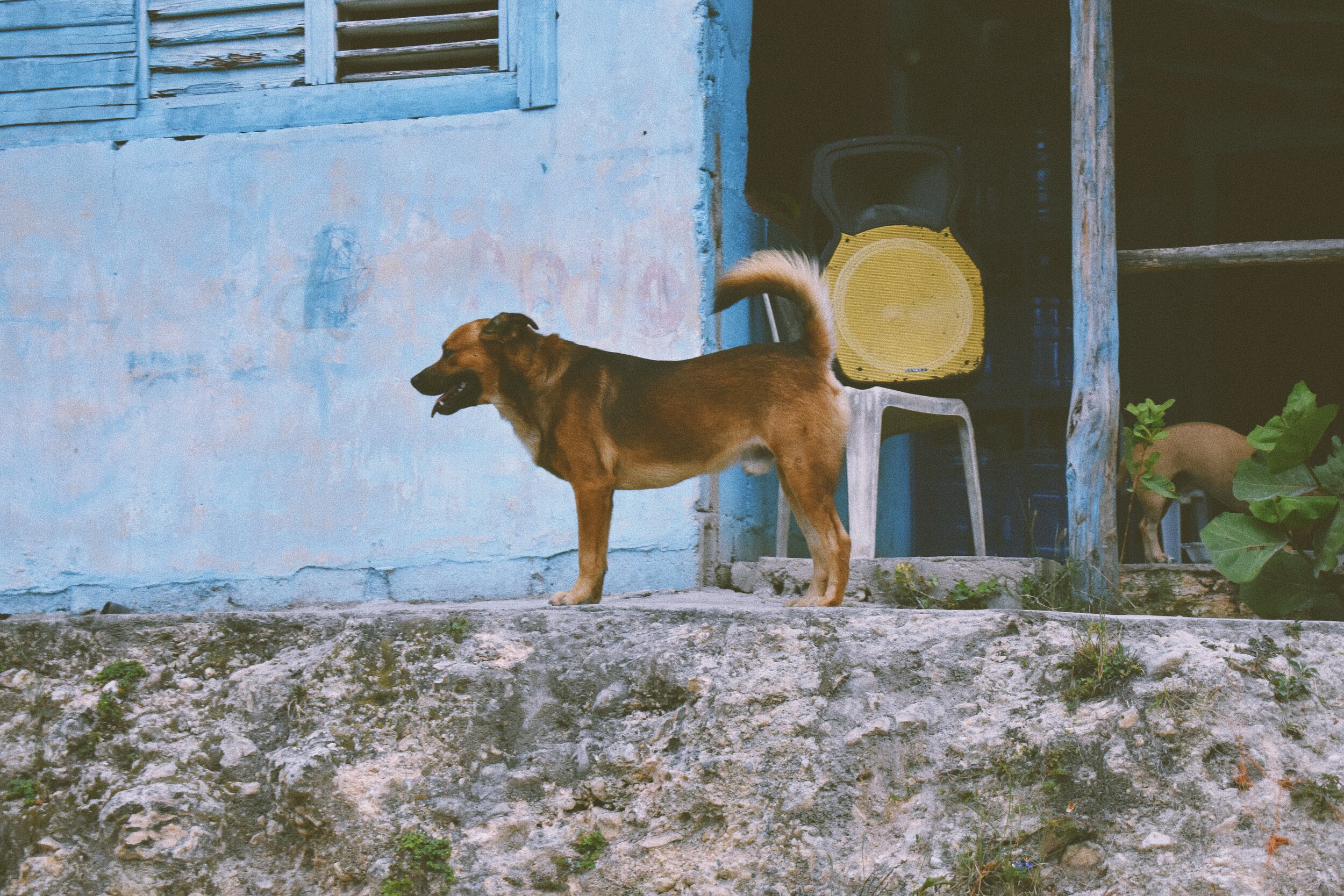 457B9F5E-C2F5-4C68-8DC7-73799E52D5BD-465B6AC8-984A-420D-97A5-A9EF806A5A98 2.JPG