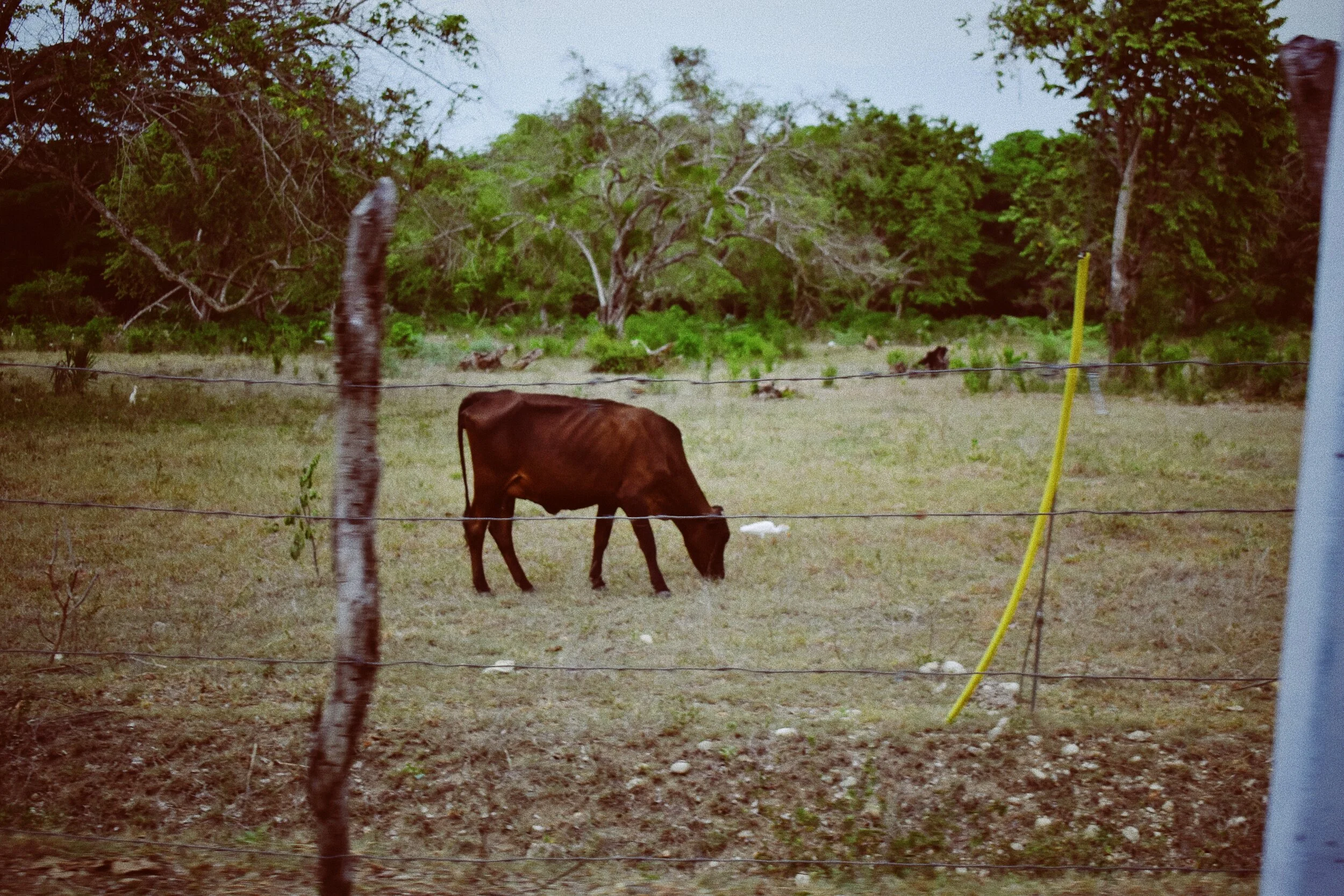 8B5E8E13-5FBB-48A9-A3E5-44BFE1B489F8-0E534A0D-44FB-4ECC-96ED-DEC3E39216B9 2.JPG