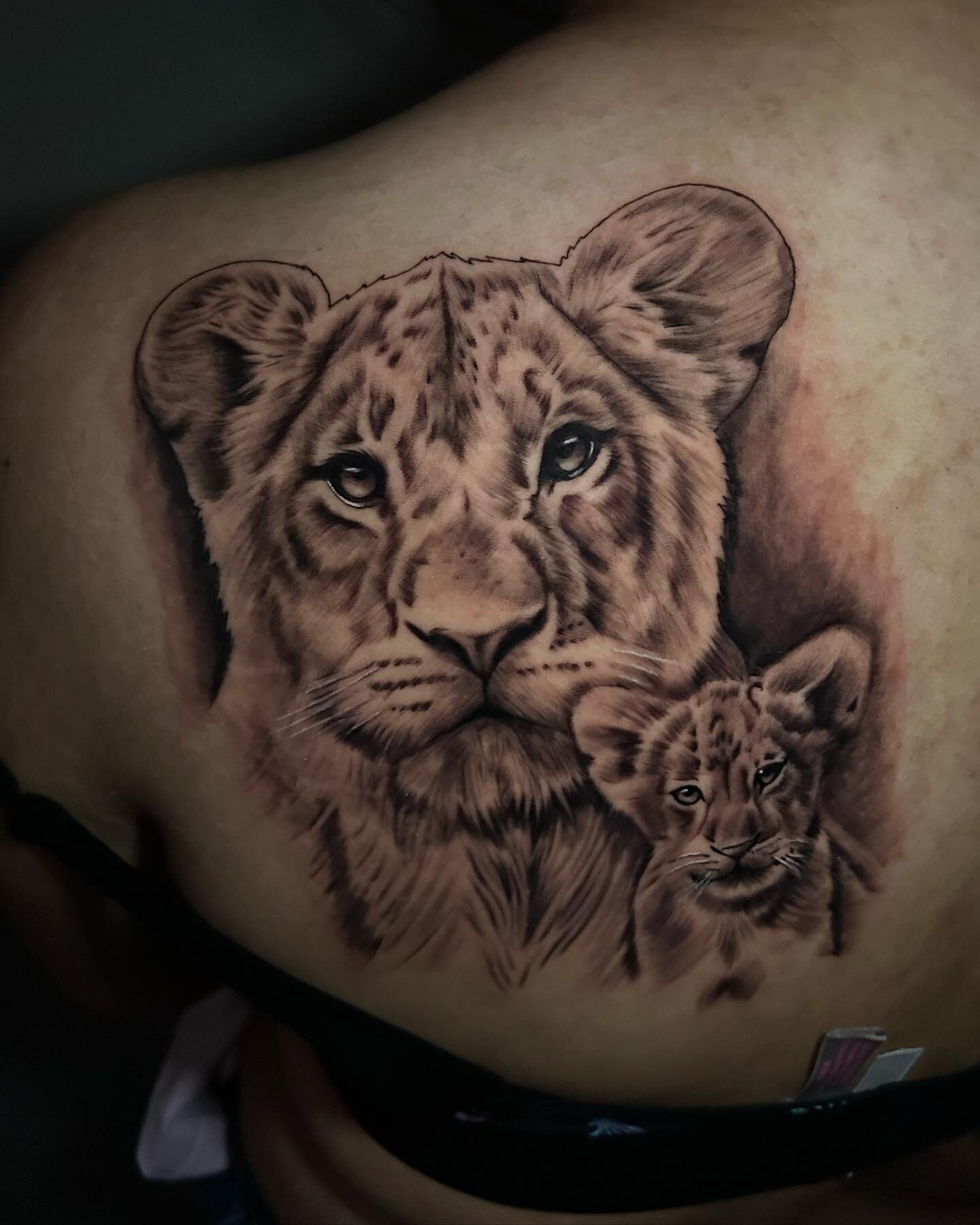 Mother lion and her cub !!! 🦁🙏🏽

Dm or txt (760)993-8455 for appointments!!!🤟🏽

#dripfornia&trade;️💦 #adornmentpiercingprivatetattoo #bng #bnginksociety #bngtattoo #bngrealism #blackandgreytattoos #liontattoo #tattooshop #tattooartist #tattooid