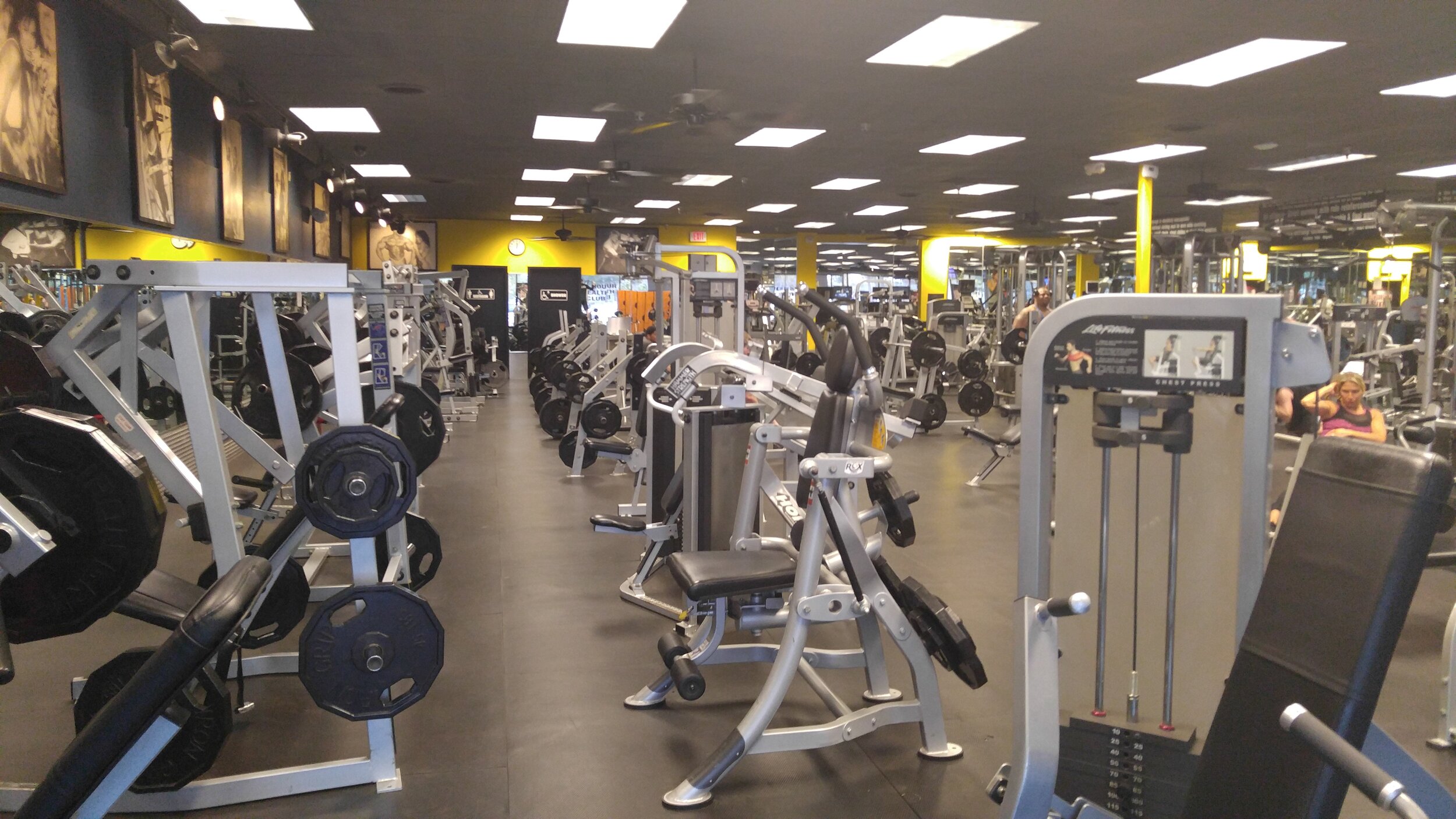 Fitness For $10 Brandon, FL