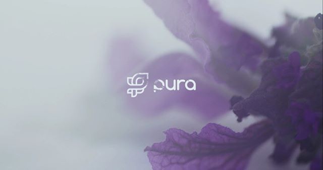 Creating a scent through visuals and audio is such a challenge. What do you smell?
We worked on the @pura &amp; @anthropologie to create an aura of memories to express each fragrance.

With @pura you can program each room with a different smell at di