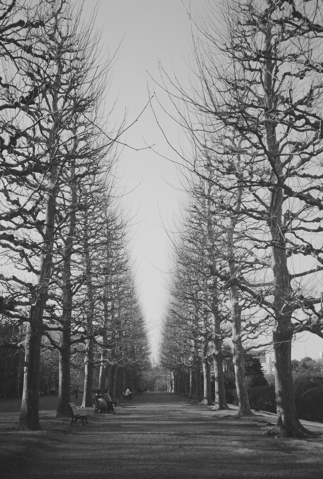 0168154_0168154-R1-E017.jpg