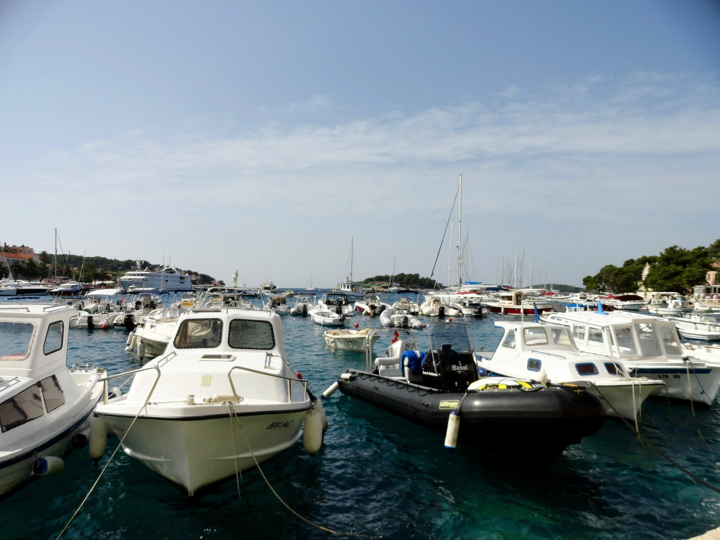 DSC09323.jpg