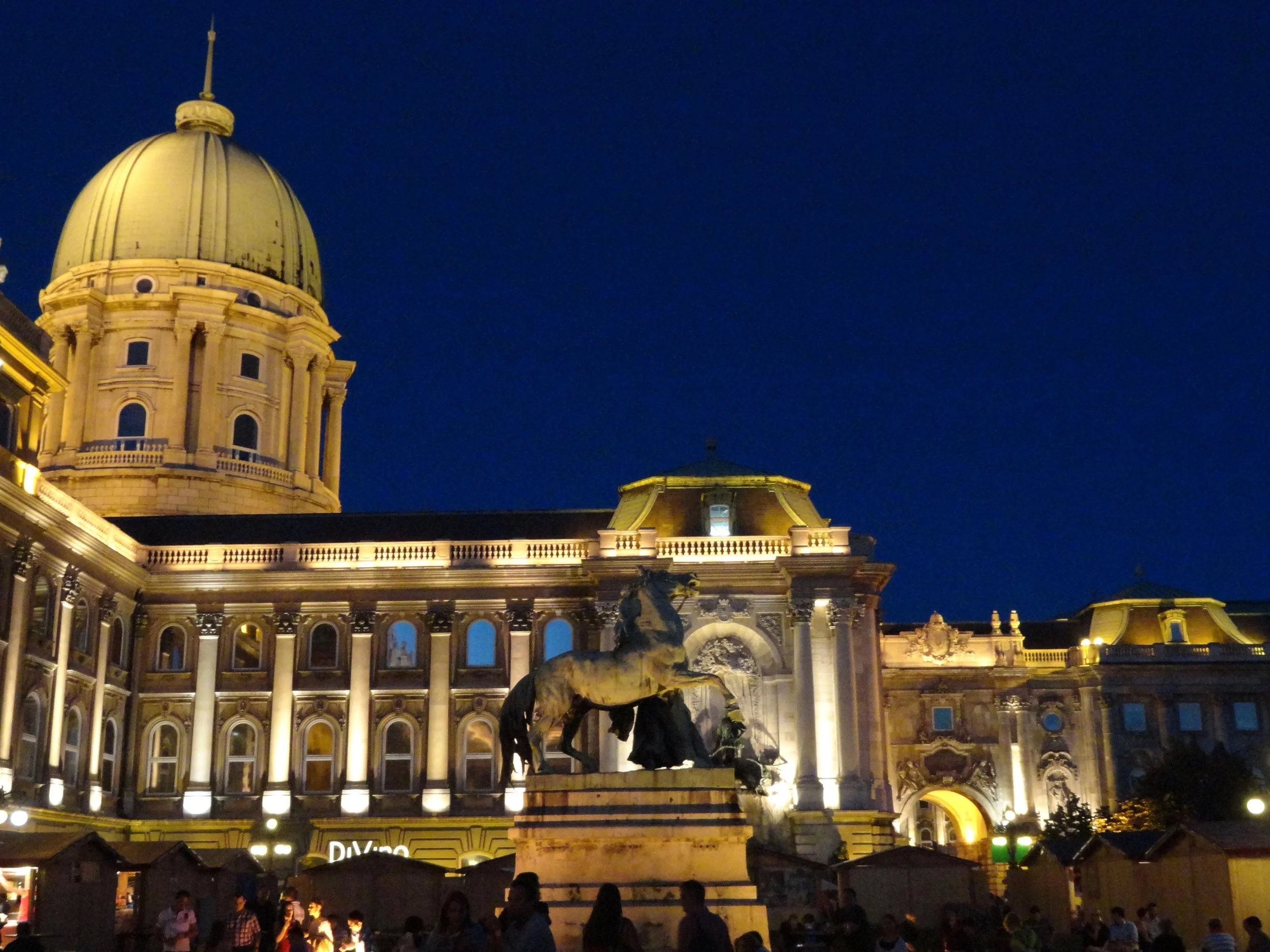 DSC08647.jpg