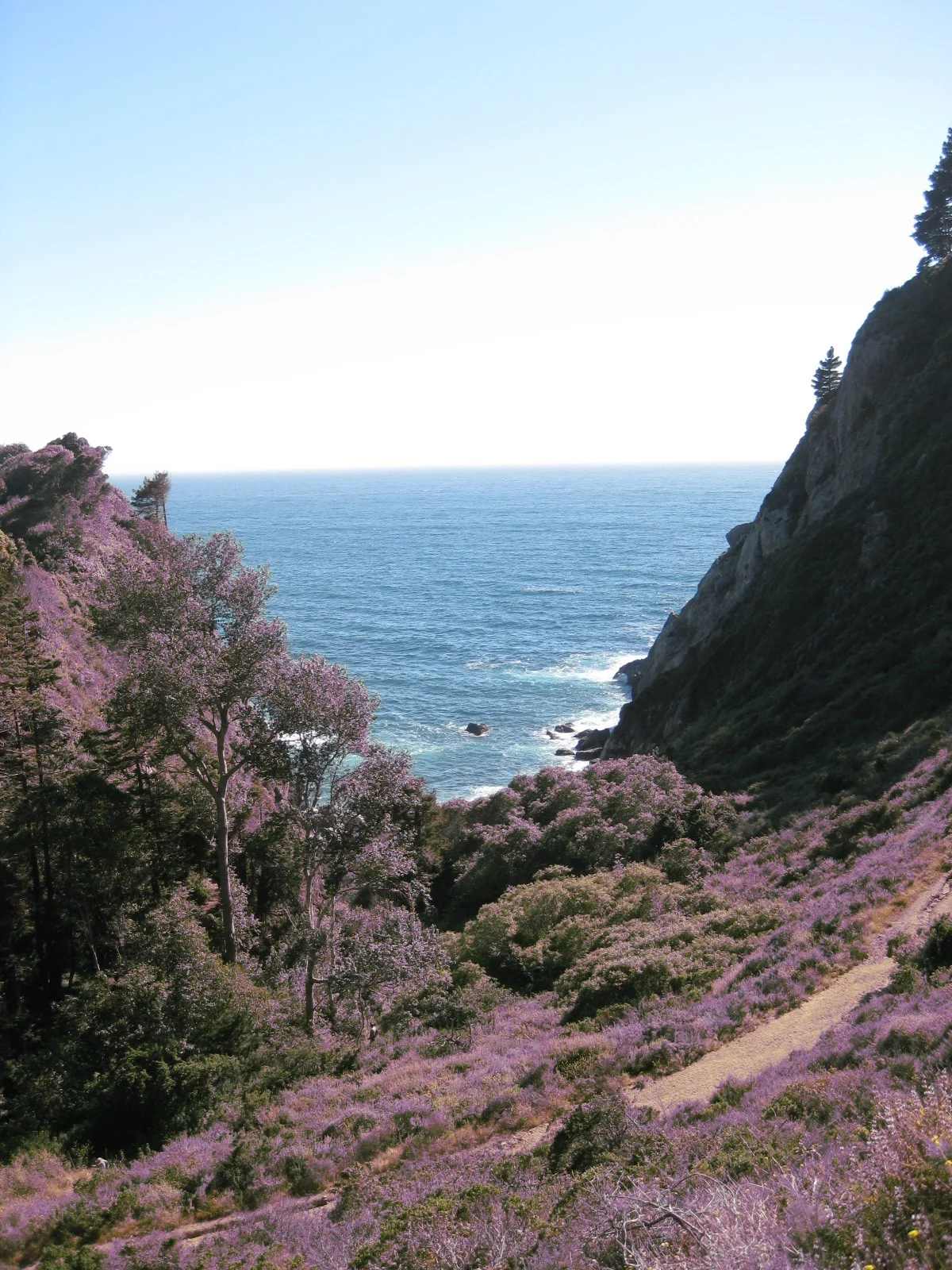 Big Sur Coastline