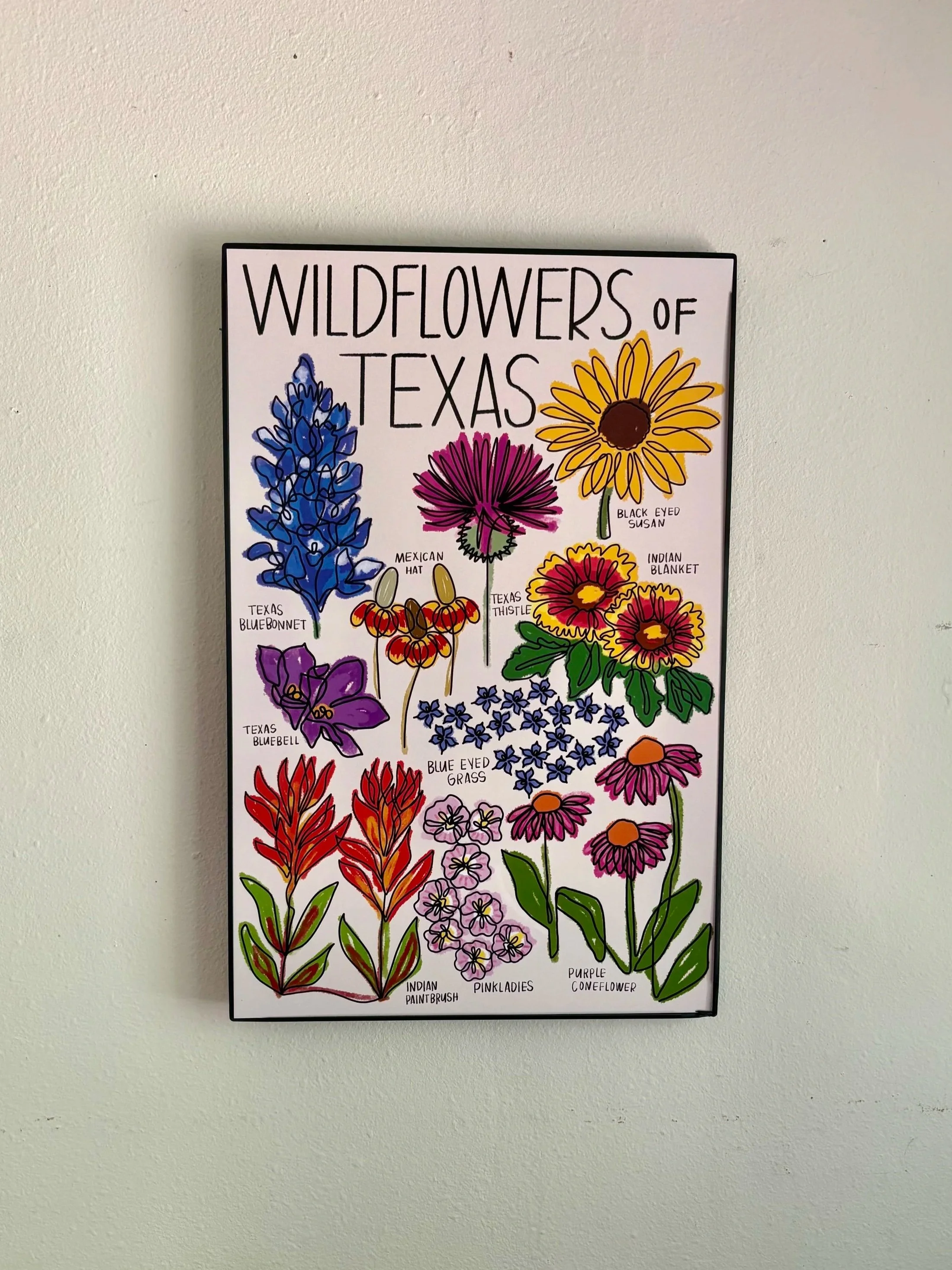 Texas Wildflowers