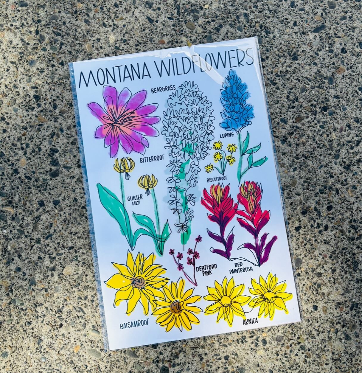🗣️💐you can buy yourself flowerssssssssss 💐 Montana wildflower print up online and shipping fo free!