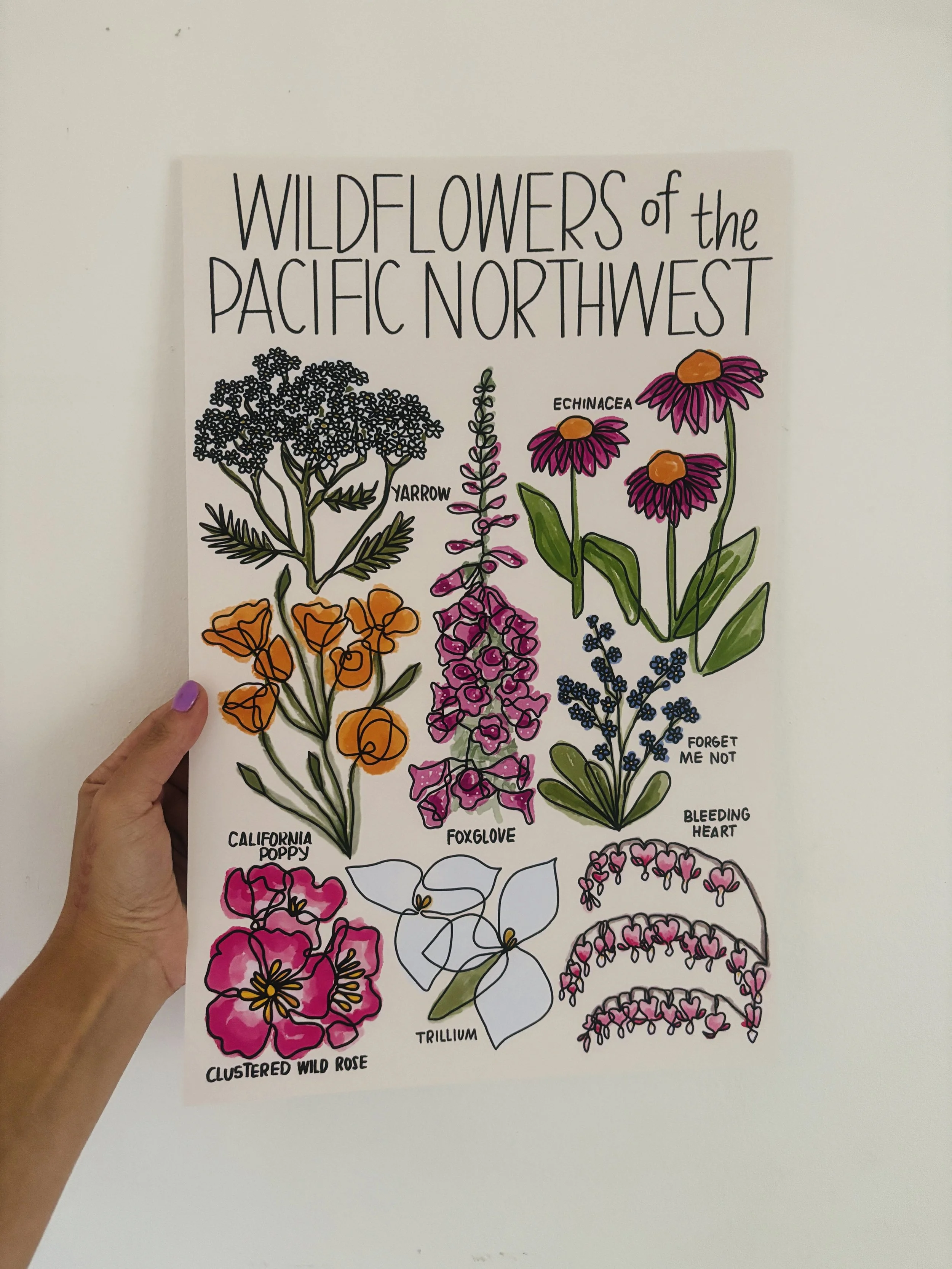 PNW Wildflowers 3.jpg