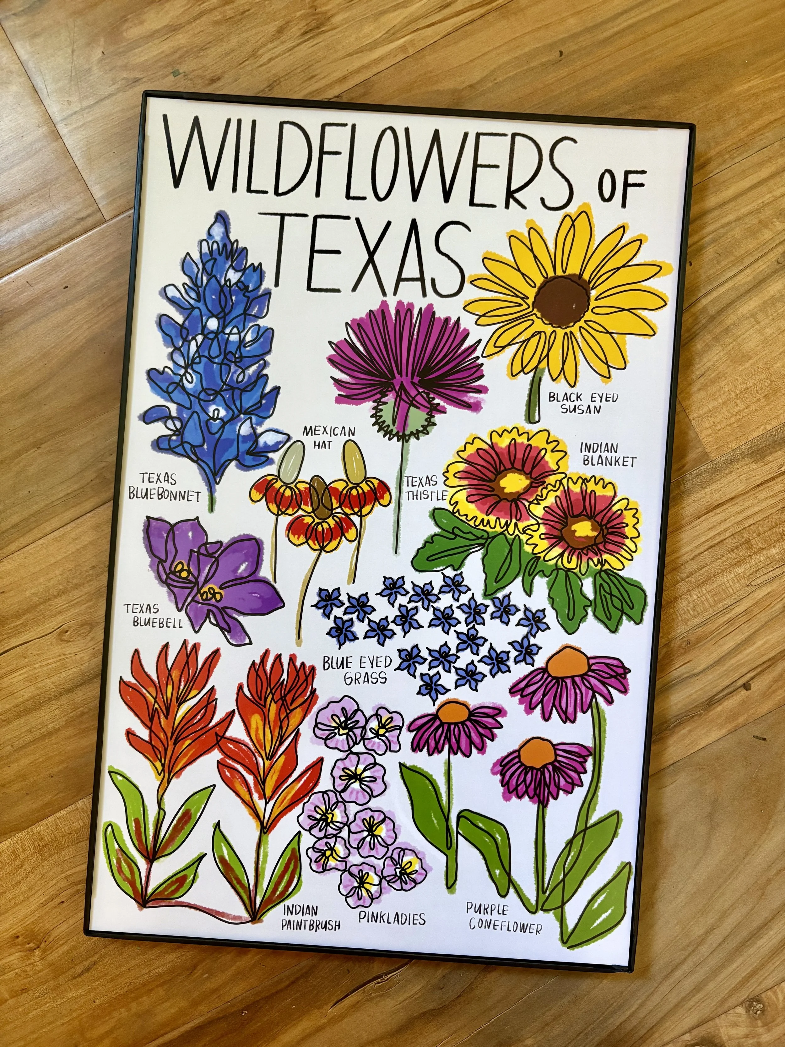 Texas Wildflower 2.jpg