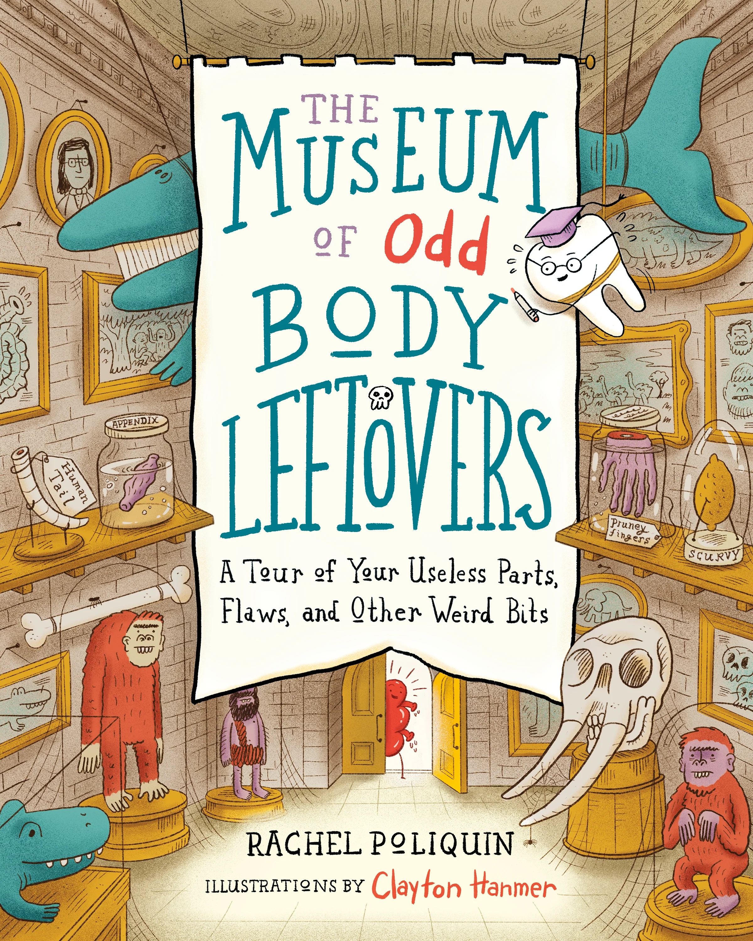 The Museum of Odd Body Leftovers: A Tour of Your Useless Parts, Flaws, and Other Weird Bits