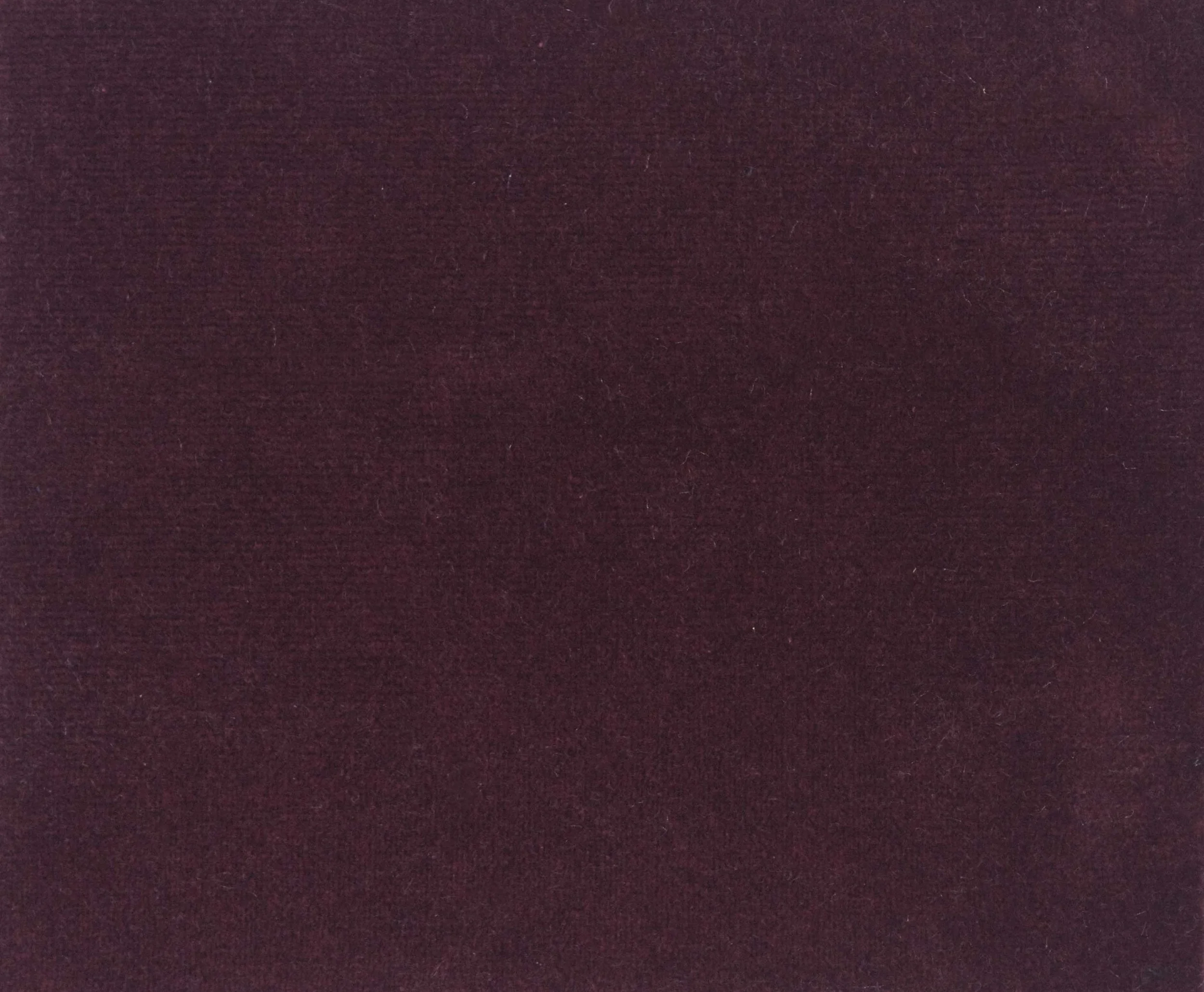 A1769_Edit.jpg