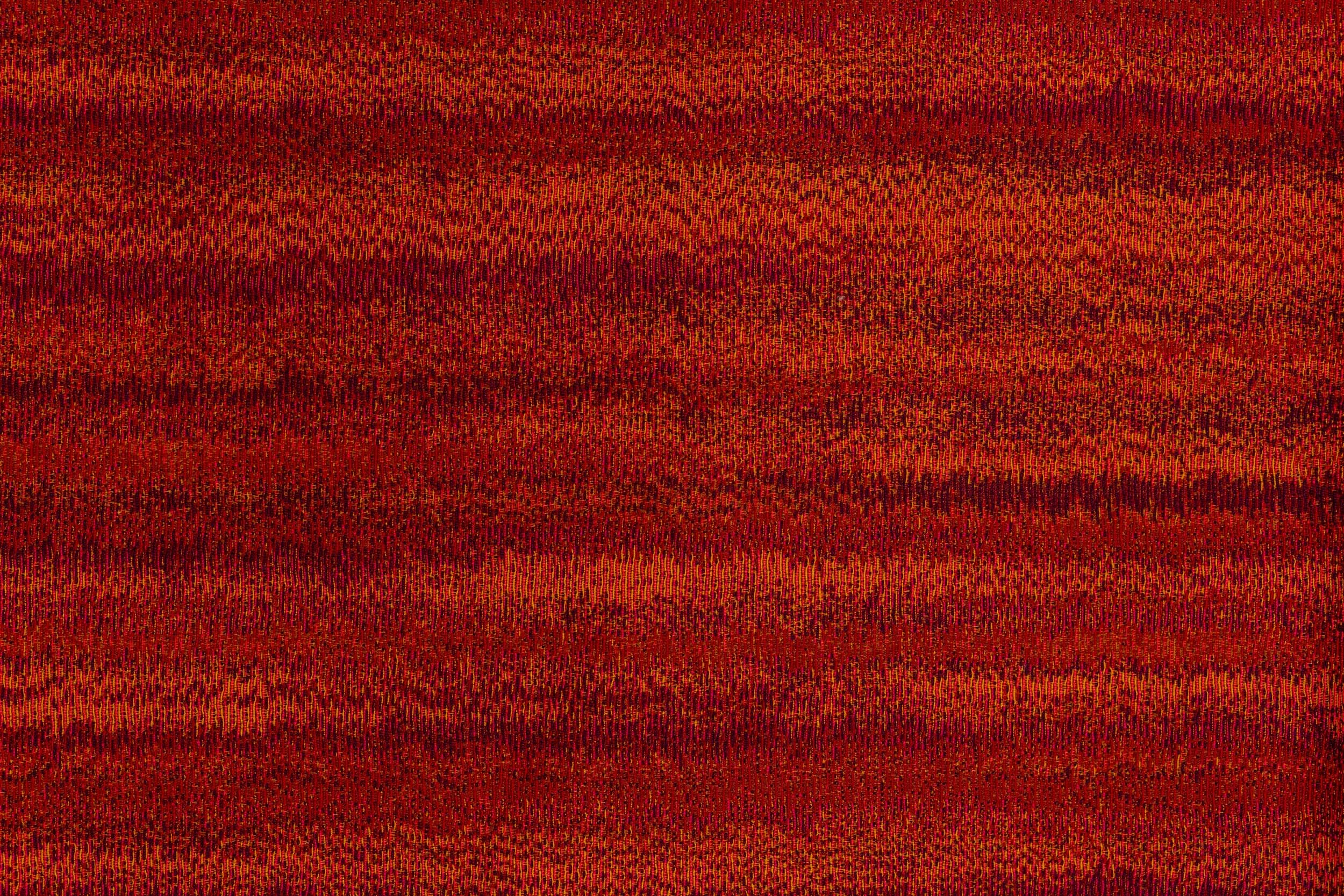 A1793.jpg