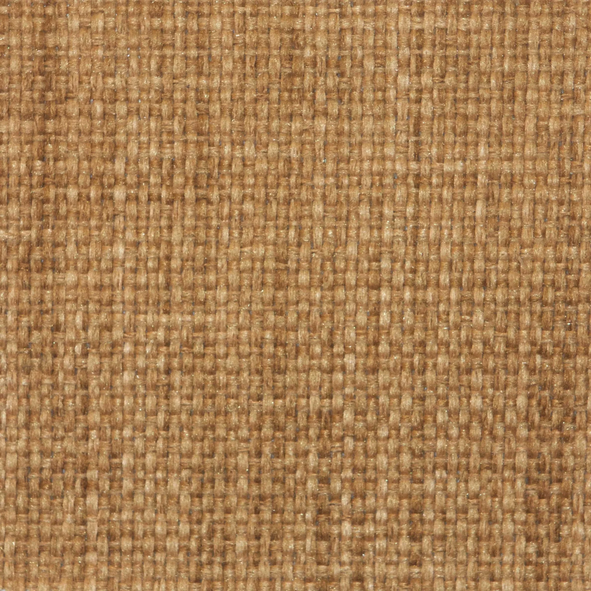 A1006.jpg