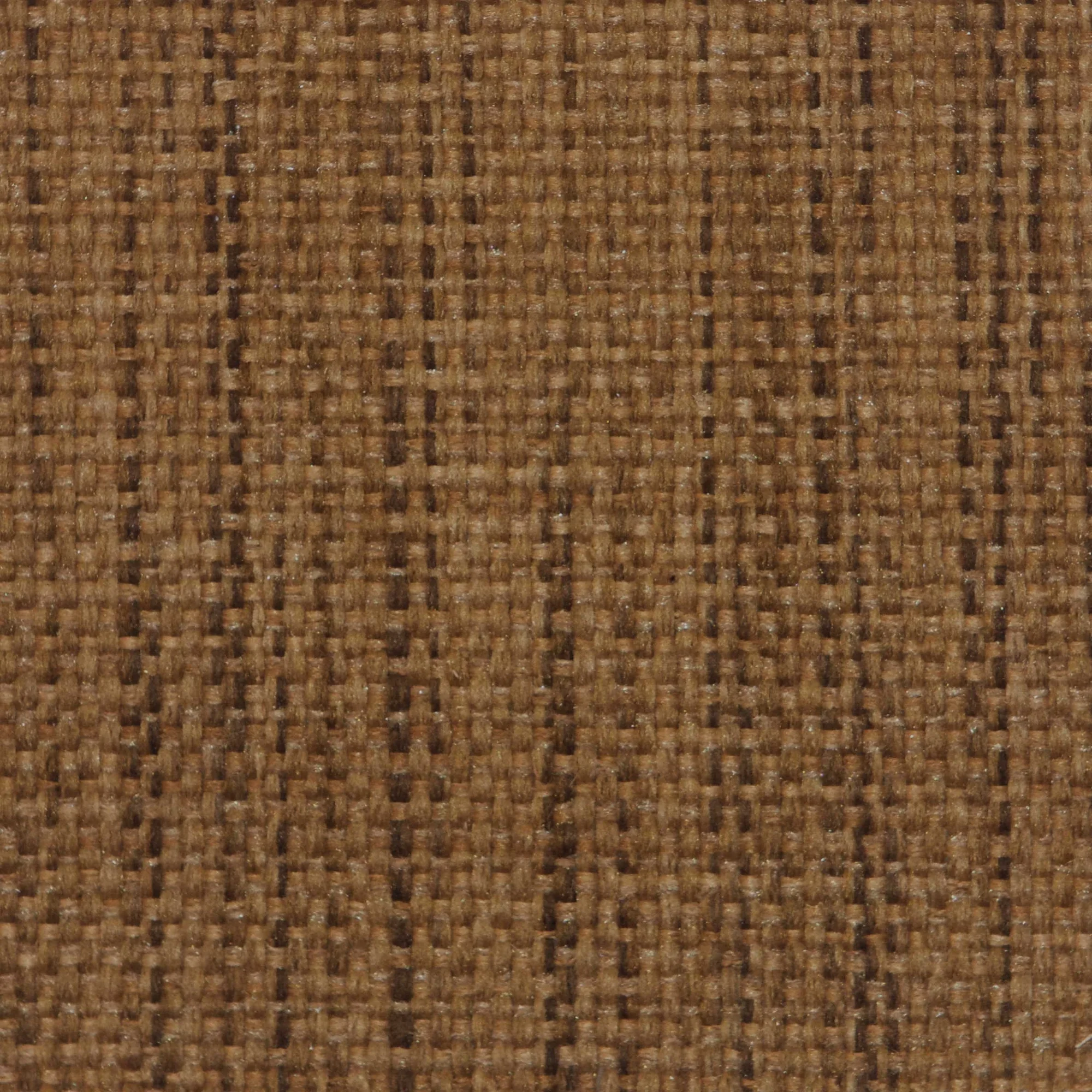 A1007.jpg