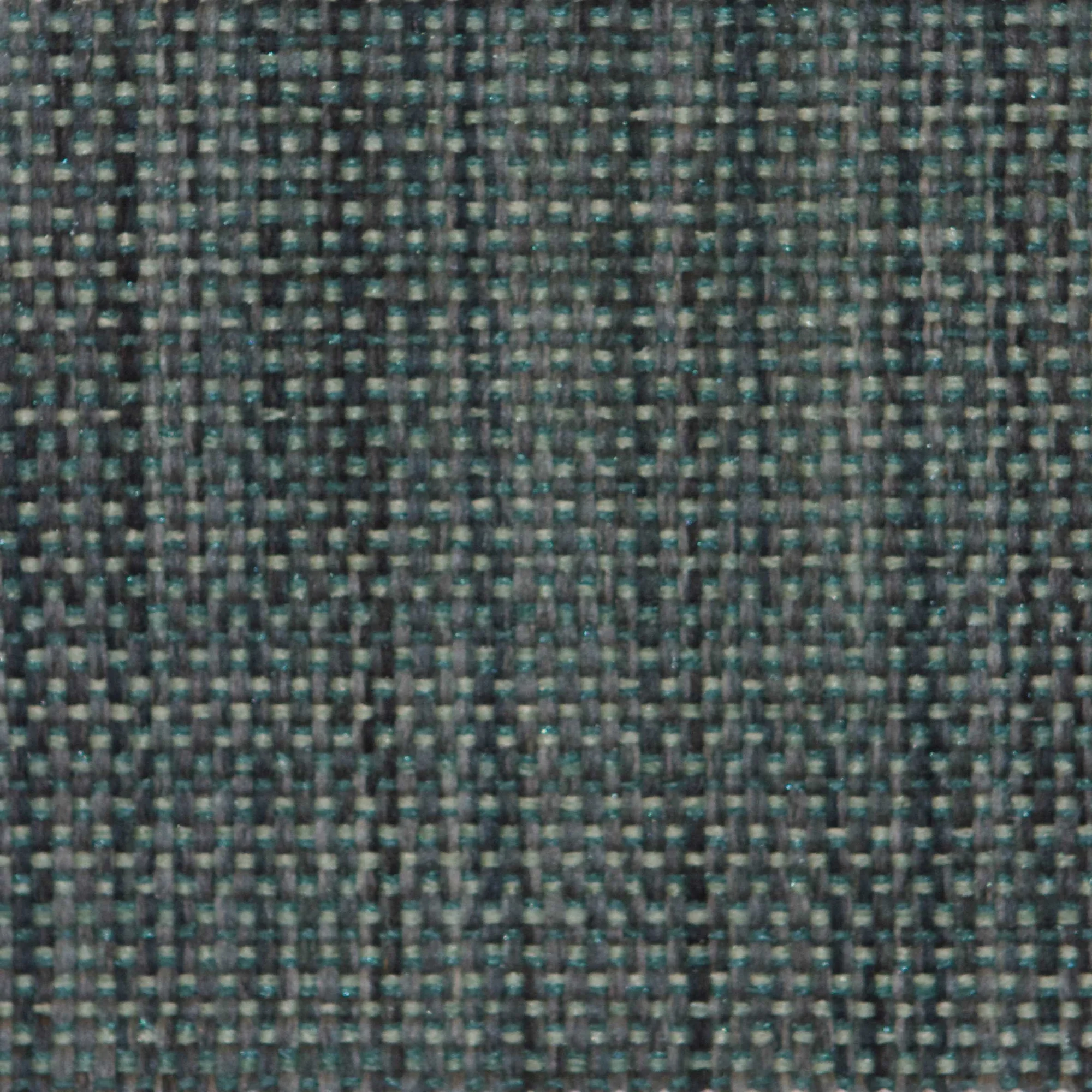 A1010.jpg