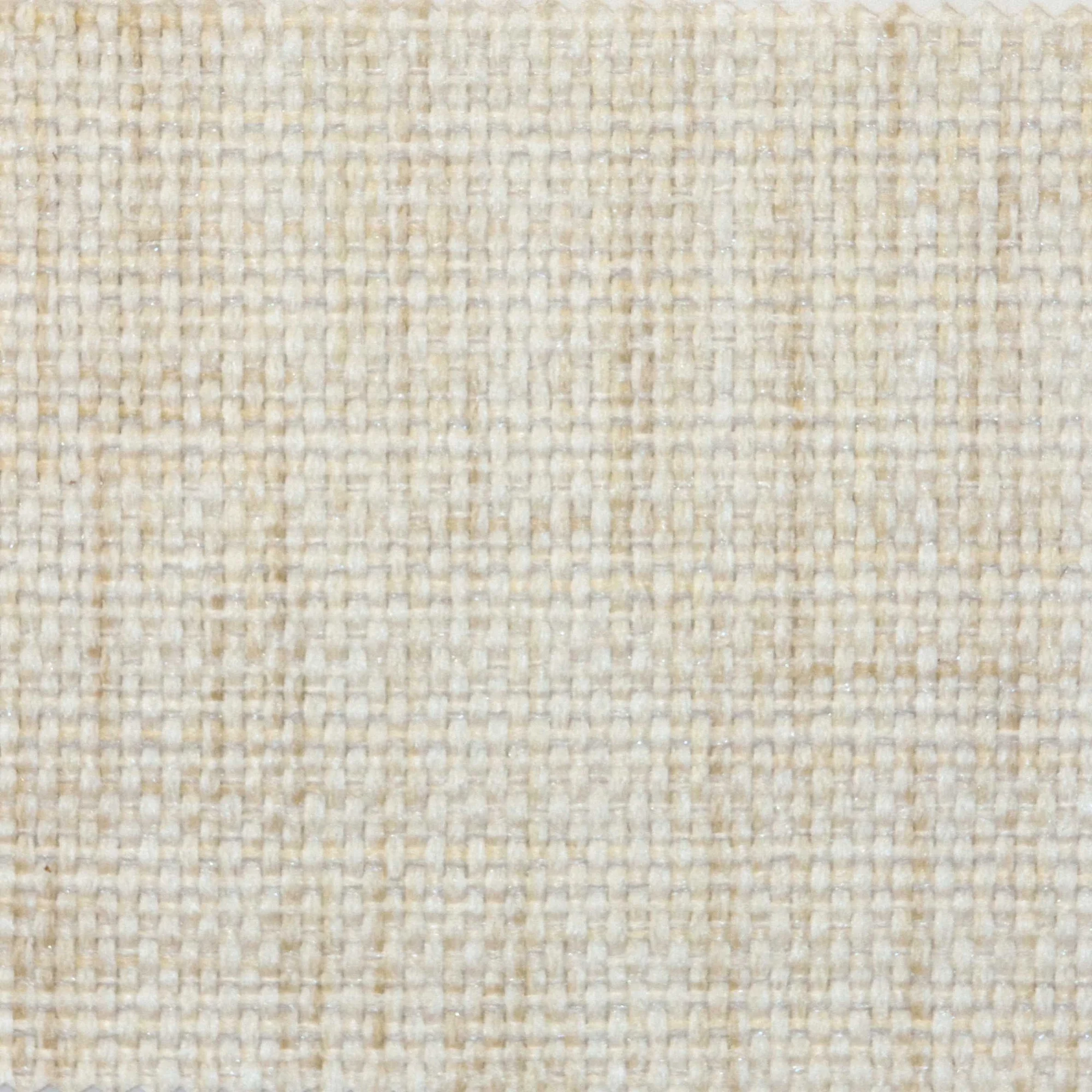 A1013.jpg