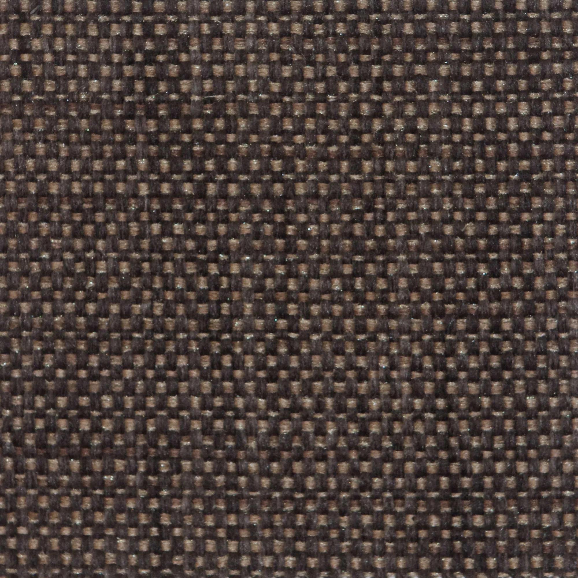 A1014.jpg