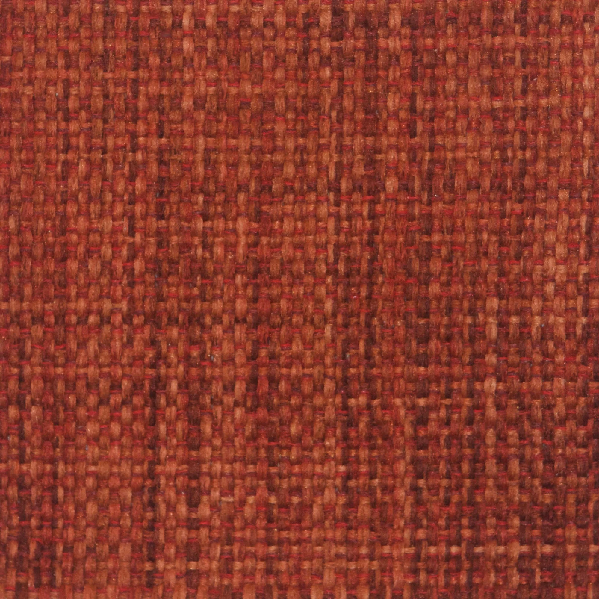 A1015.jpg