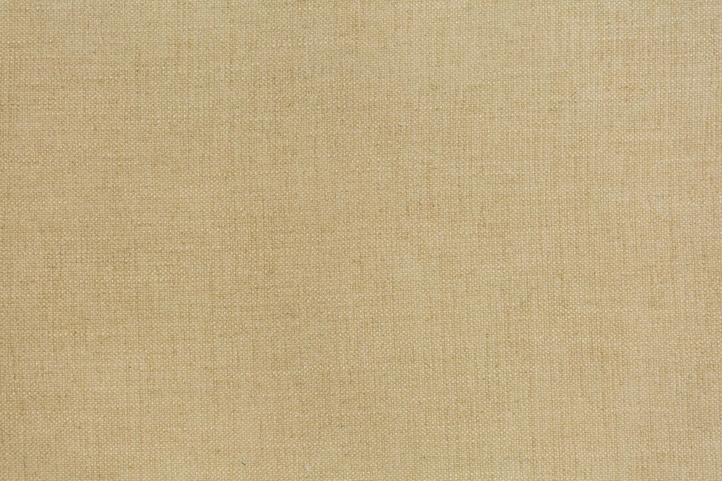 A1874.jpg