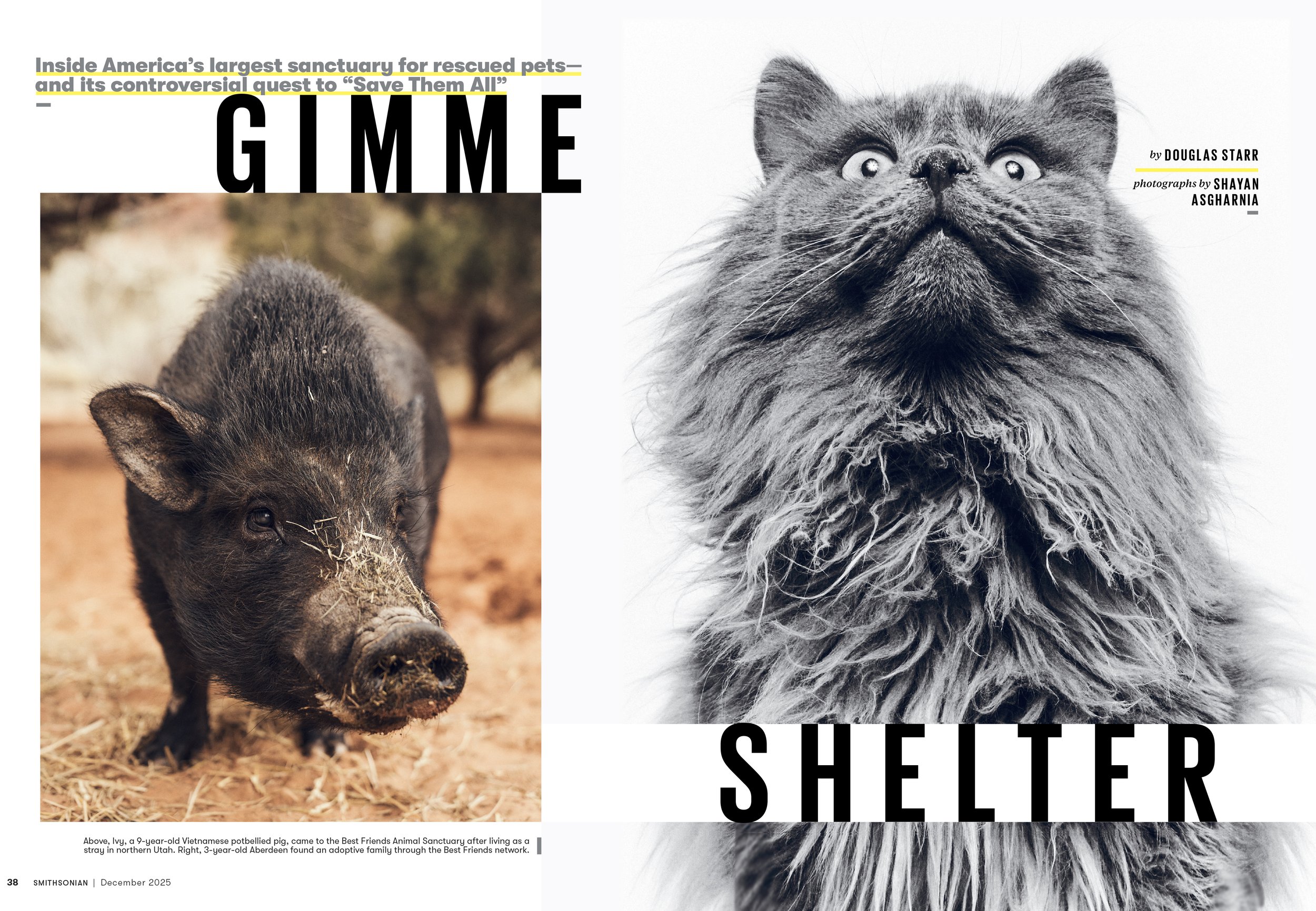 1 - DEC25_FEA_Best_Friends_Animal_Layout-Orig-1.jpg