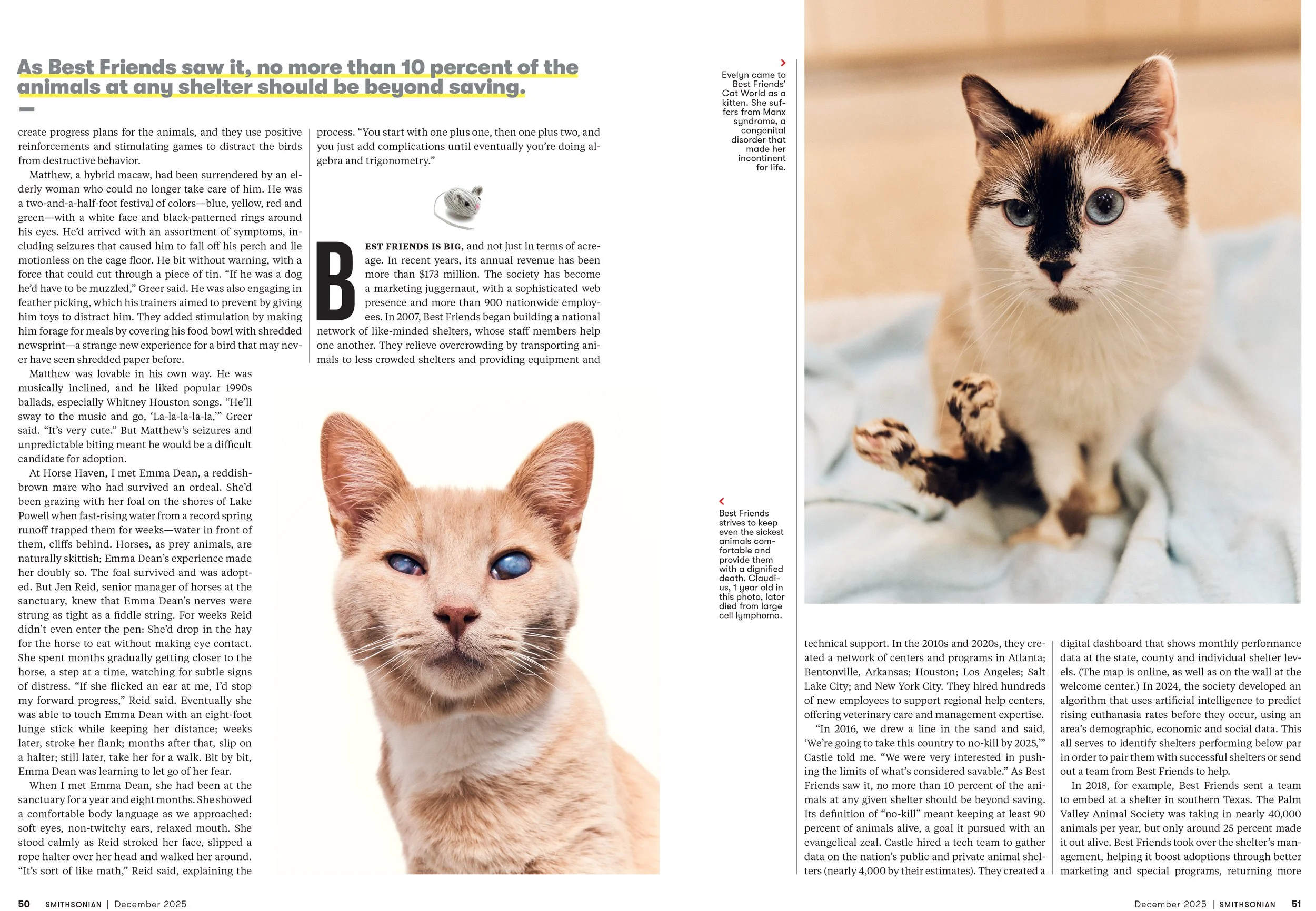 7 - DEC25_FEA_Best_Friends_Animal_Layout-Orig-1.jpg