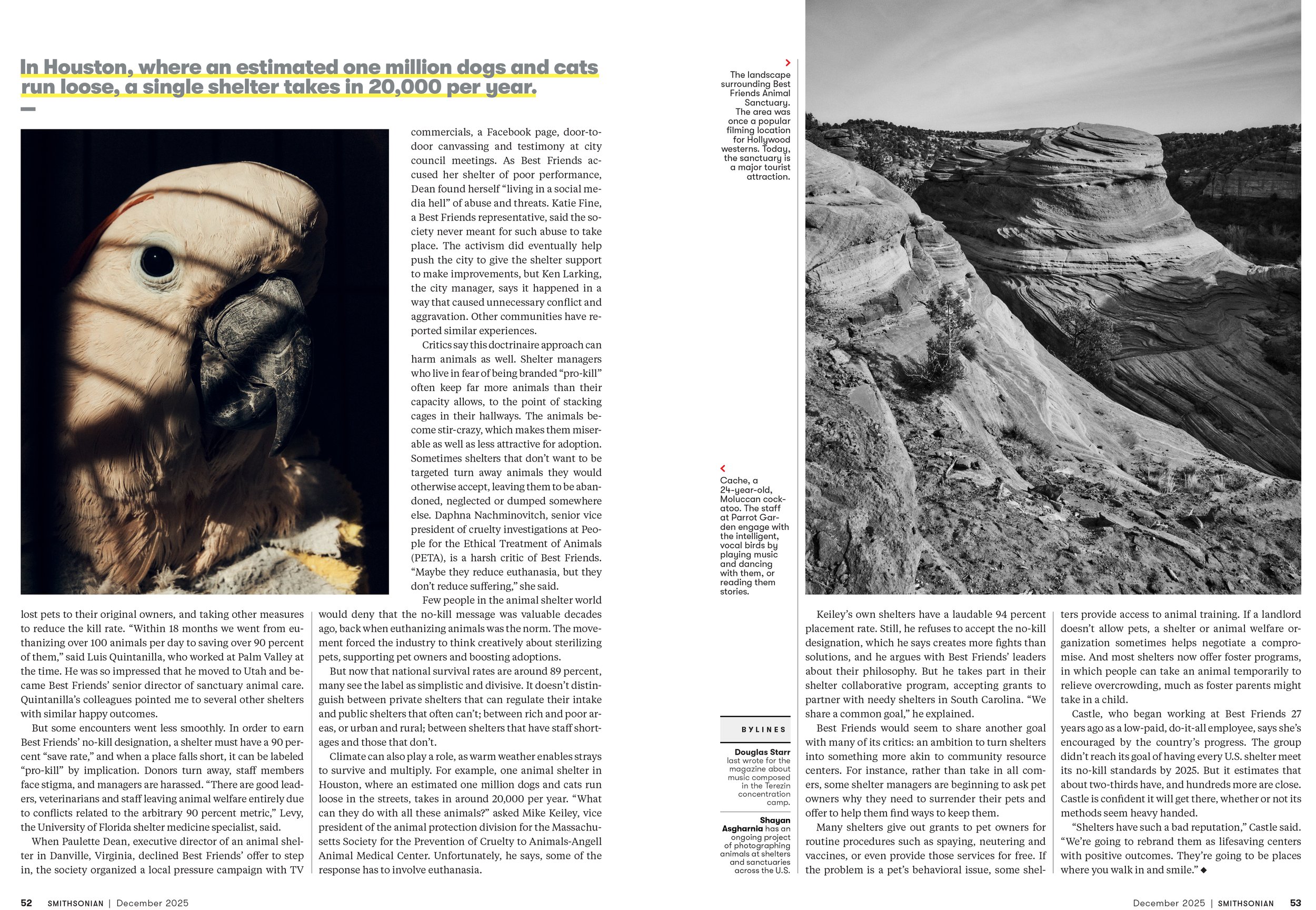 8 - DEC25_FEA_Best_Friends_Animal_Layout-Orig.jpg