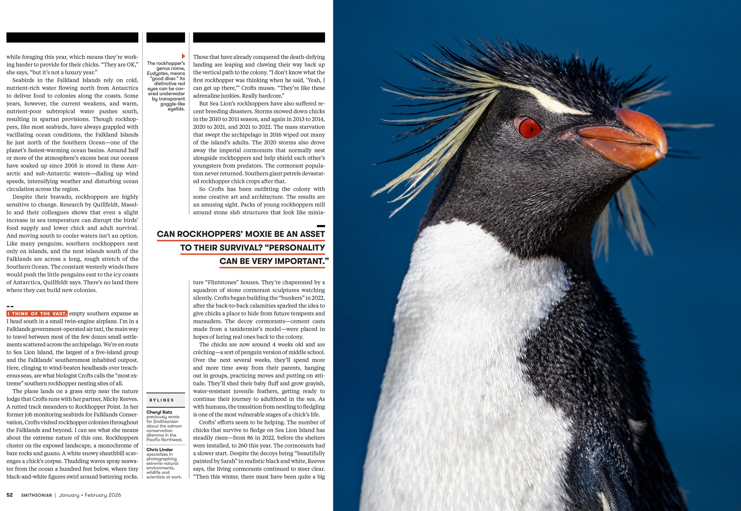 7 - JANFEB26_FEA_Rockhopper_Penguins_Layout [P]_23606304;42_View-1.jpg