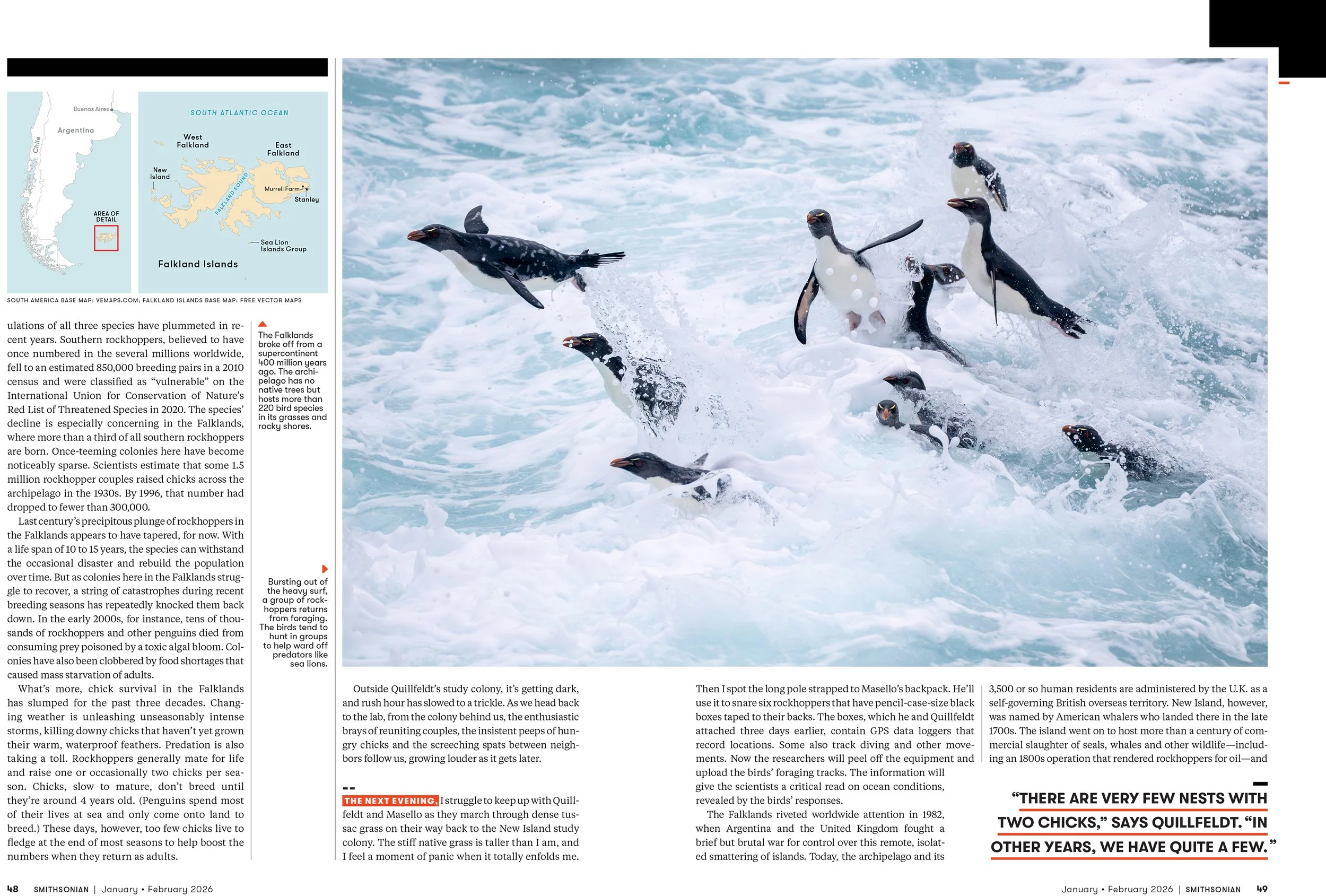 5 - JANFEB26_FEA_Rockhopper_Penguins_Layout [P]_23606304;42_View-1.jpg