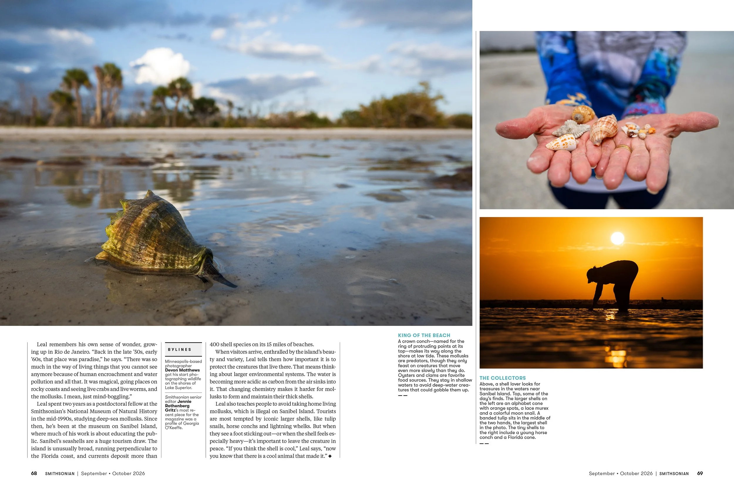 6SEPOCT26_FEA_Seashells_Layout [P]_24243319;26_View.jpg