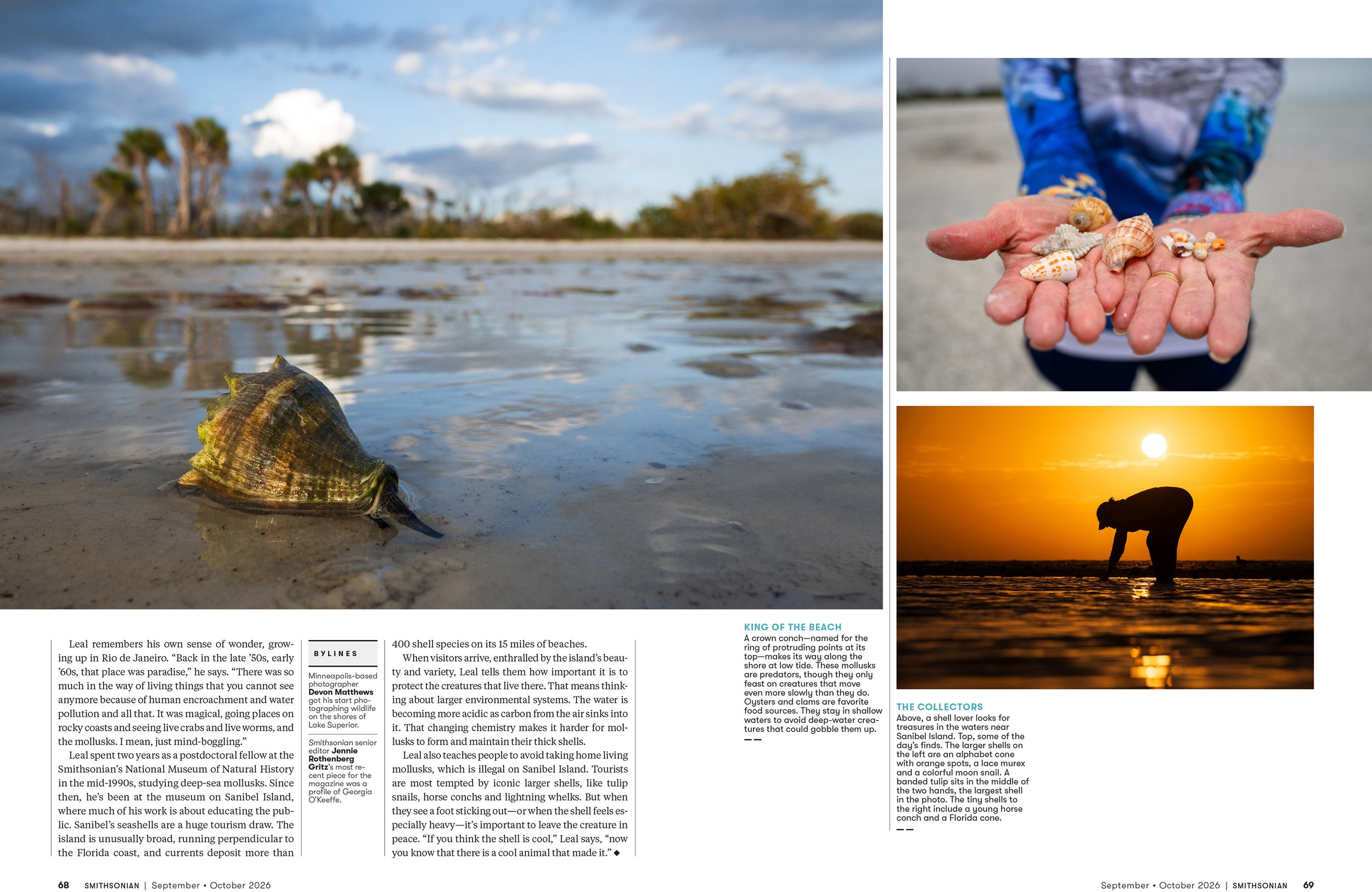 6SEPOCT26_FEA_Seashells_Layout [P]_24243319;26_View.jpg