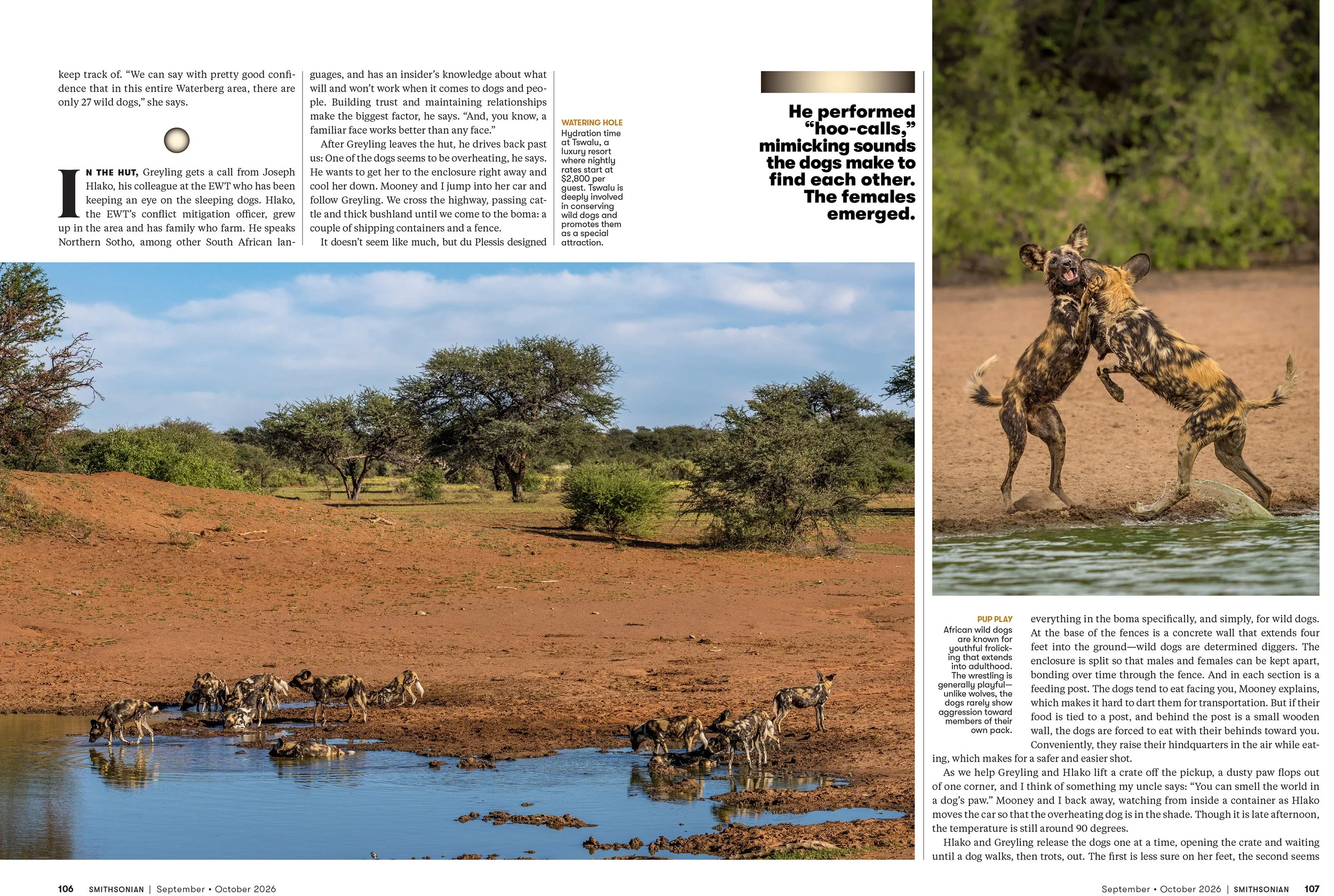 5SEPOCT26_FEA_African_Wild_Dogs_Layout [P]_24237035;37_View-1.jpg