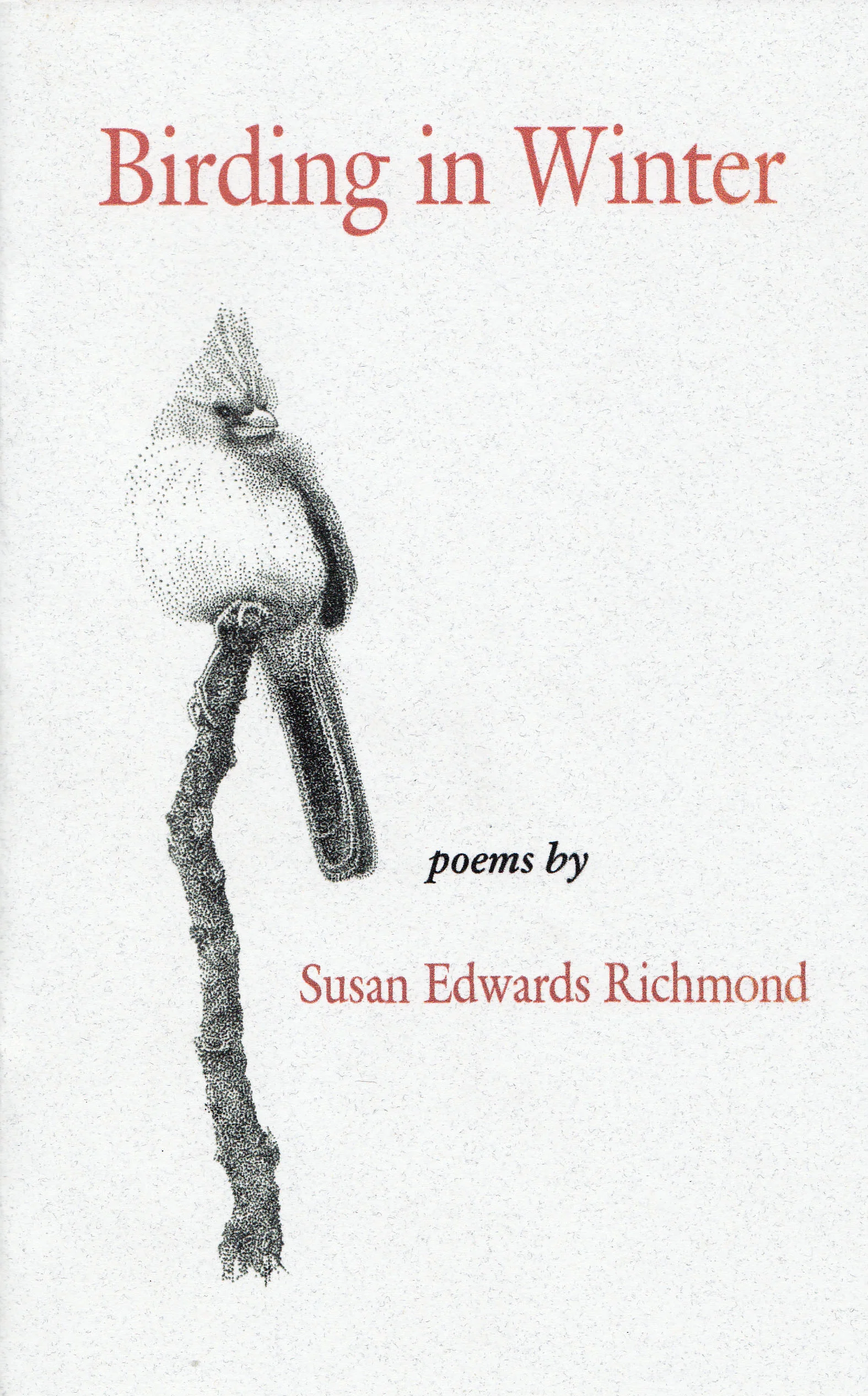 Birding Cover.jpg