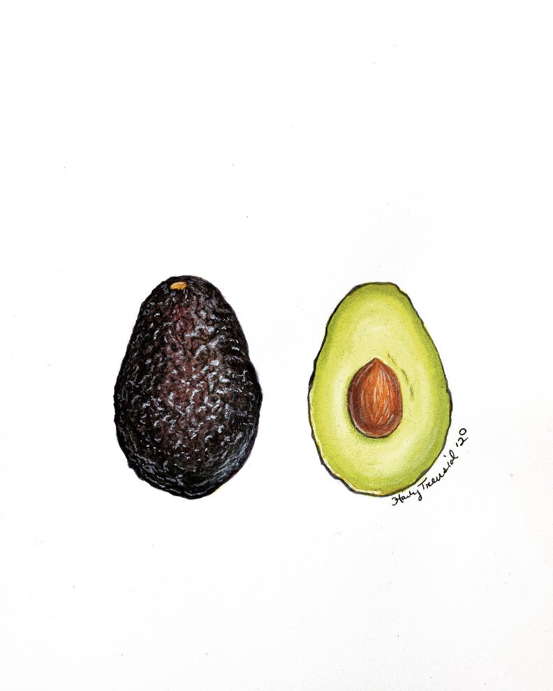 Avocado.jpg