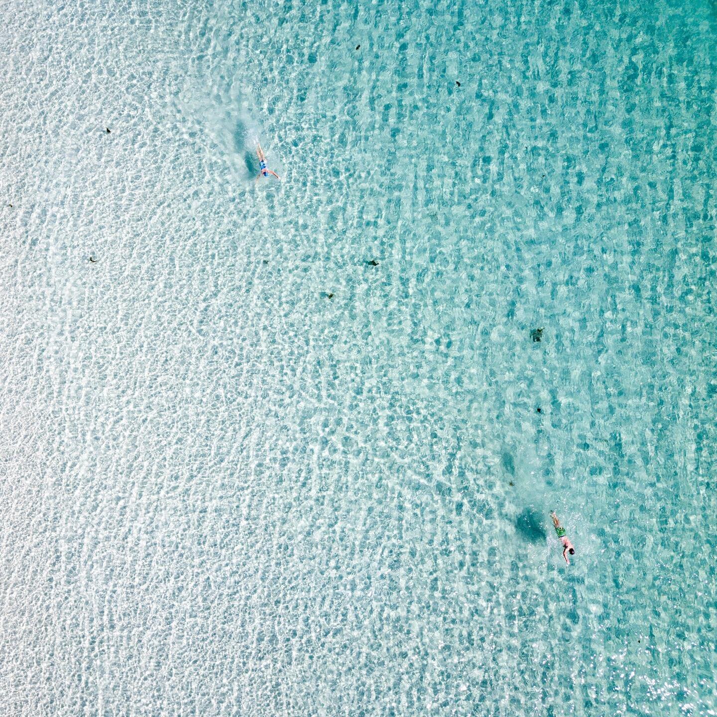 Diving into the crystal clear waters of the Bay of Fires with @placesweswim 💙 Read our interview with Caroline Clements, co-creator Places We Swim, up now on the UNE PIECE Journal ✨