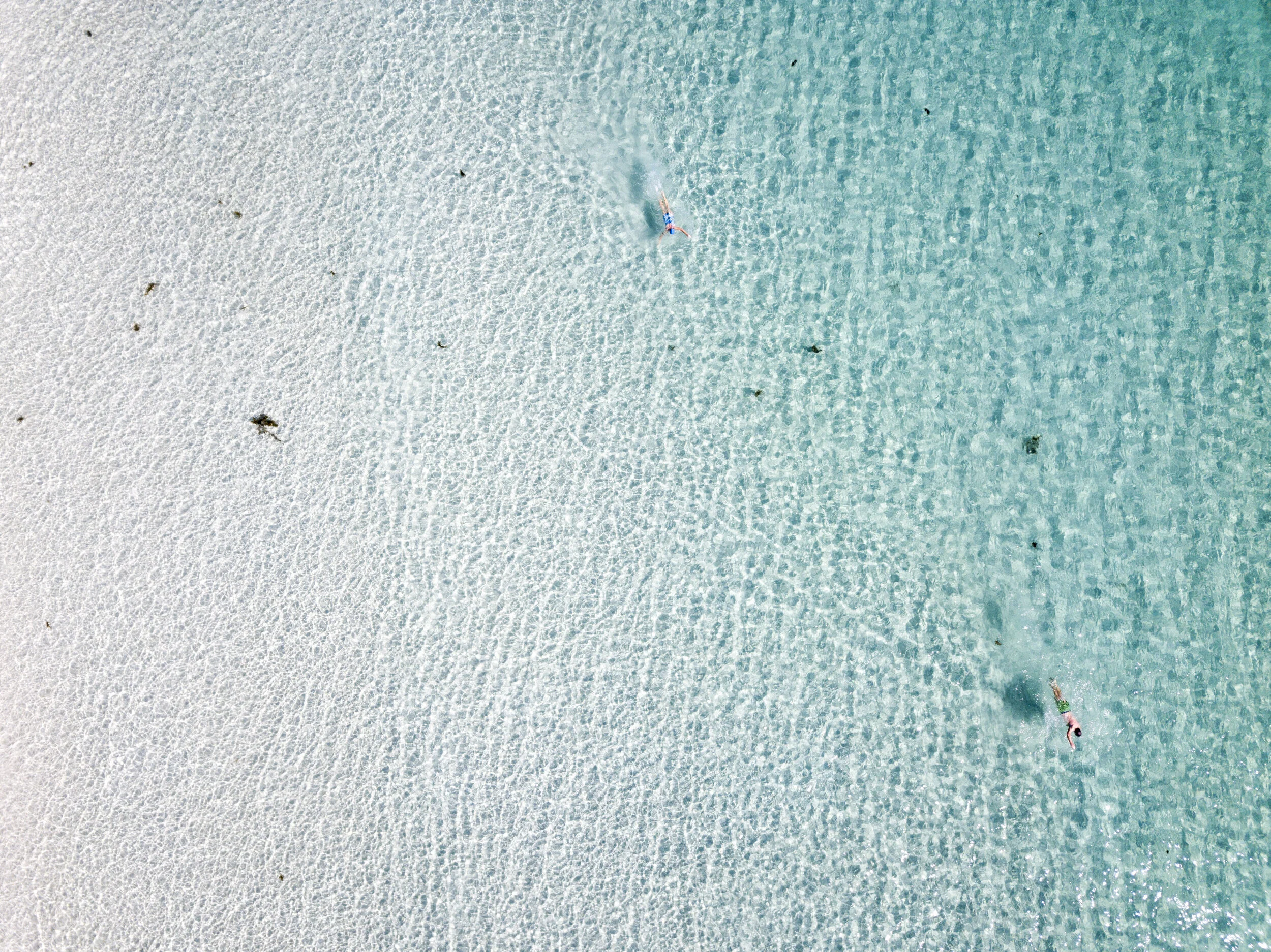 Beach Book Club: Places We Swim